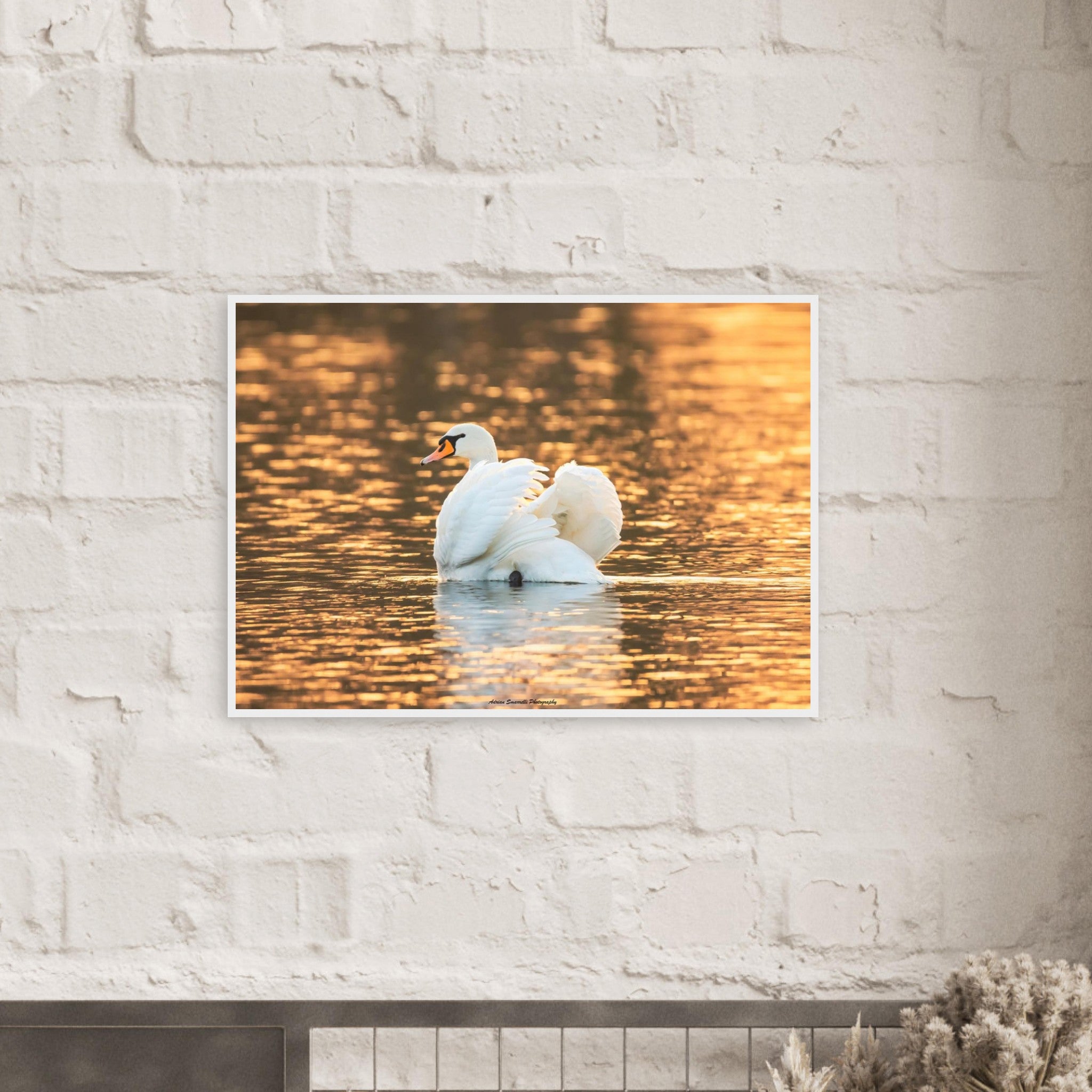 65bd5ed5-0409-4f01-83b2-14f90f3870af