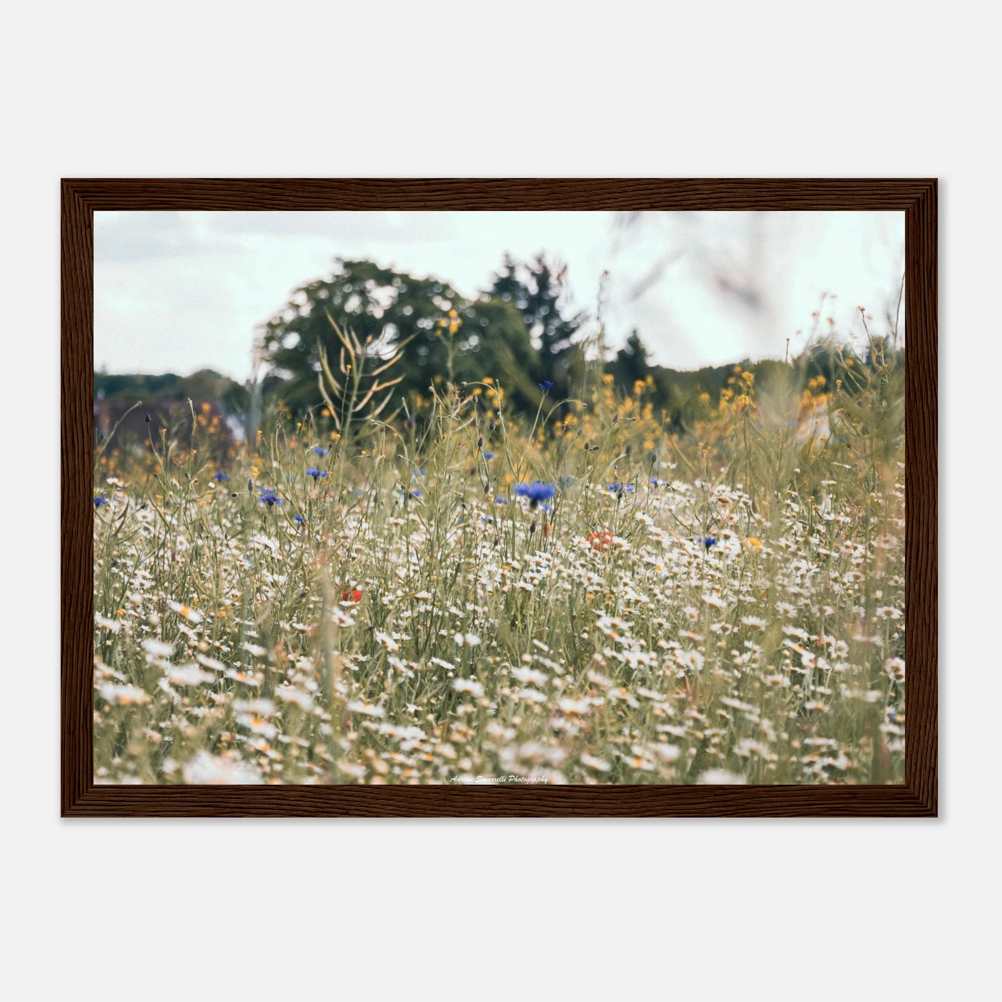 65eef02a-345a-408c-9b77-dab397c48f78