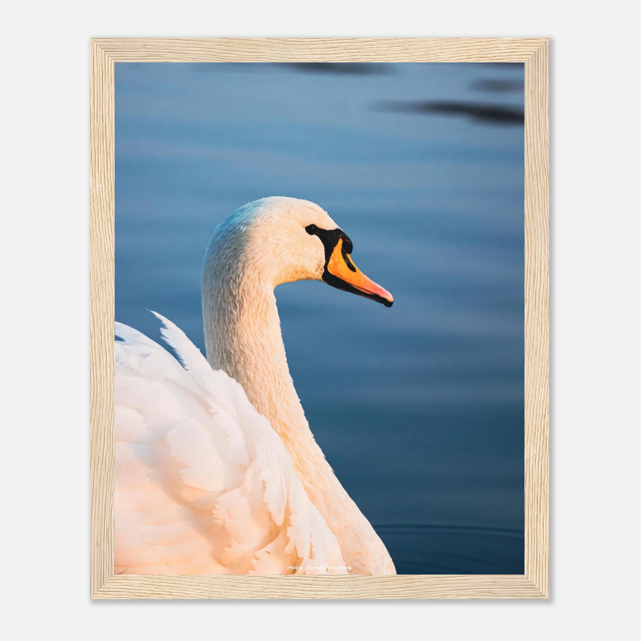 684f249c-0a91-4738-9a73-dc229d009b57