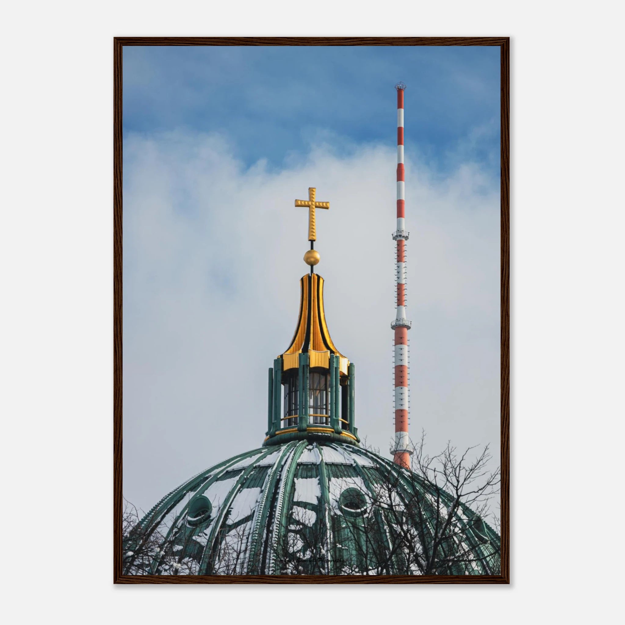 68d57a02-e349-472e-9e89-50790c156da7