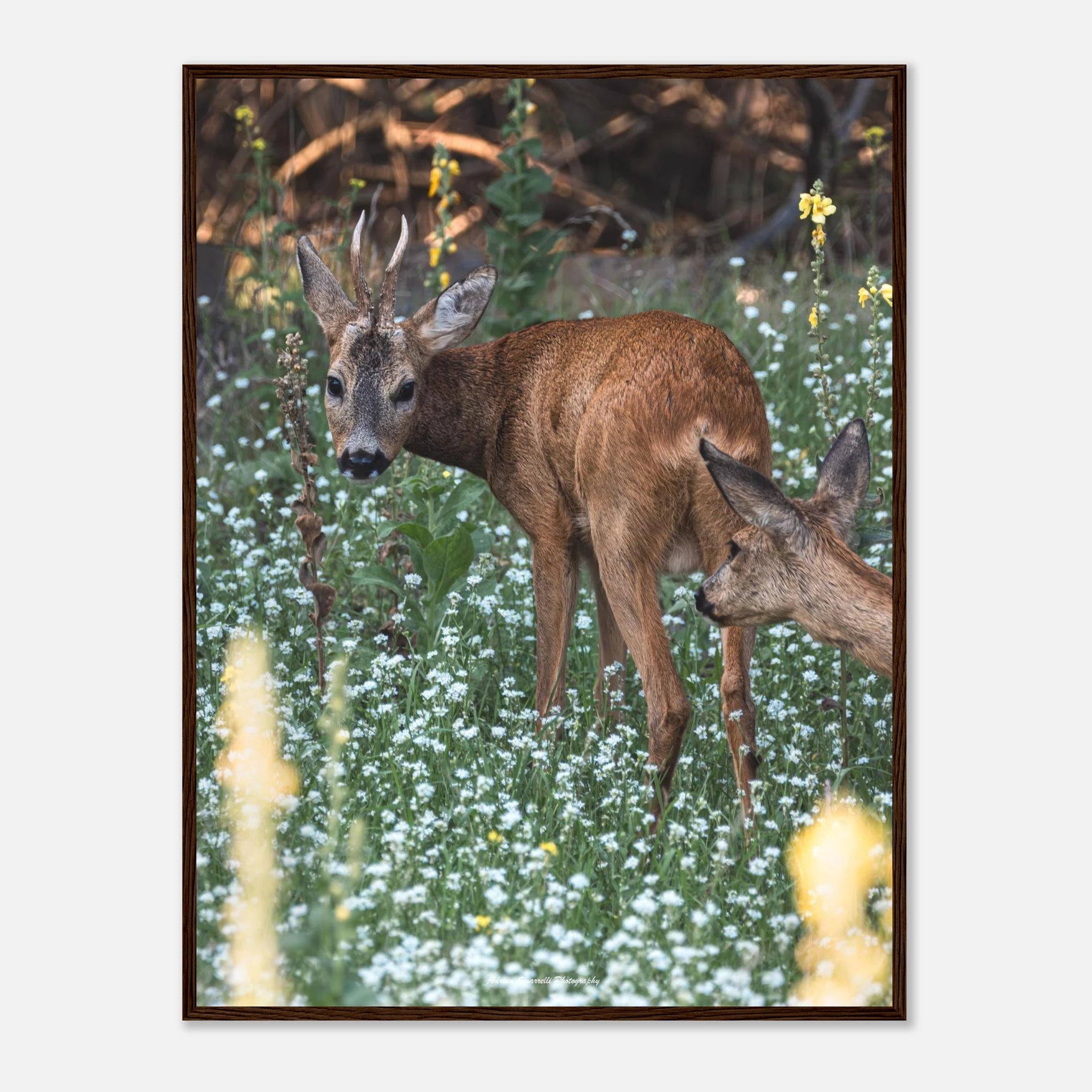 69917063-42d7-4eeb-a252-086d81a00e07