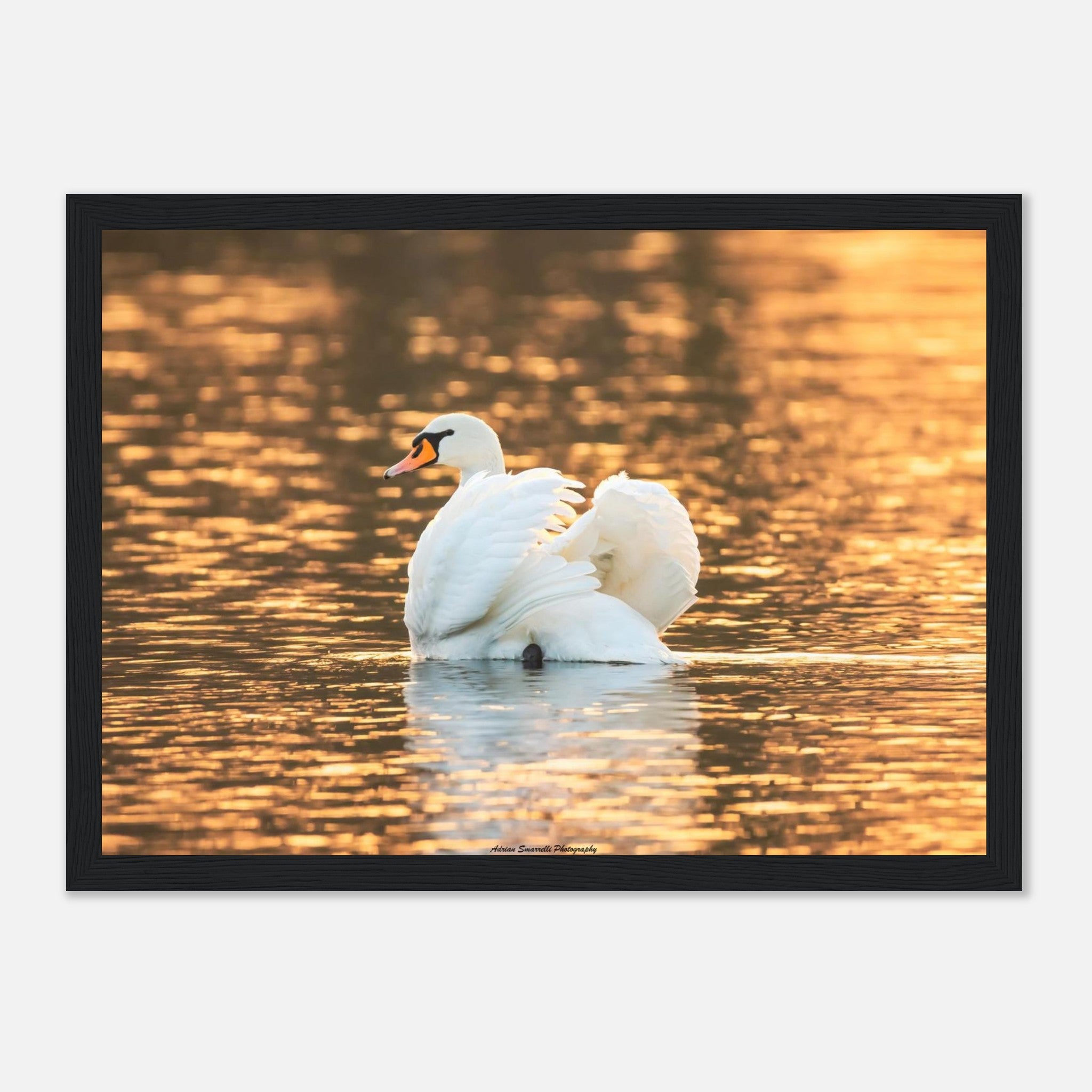 6a20cf3c-72fb-4bbb-bdac-1bfec1b57c72