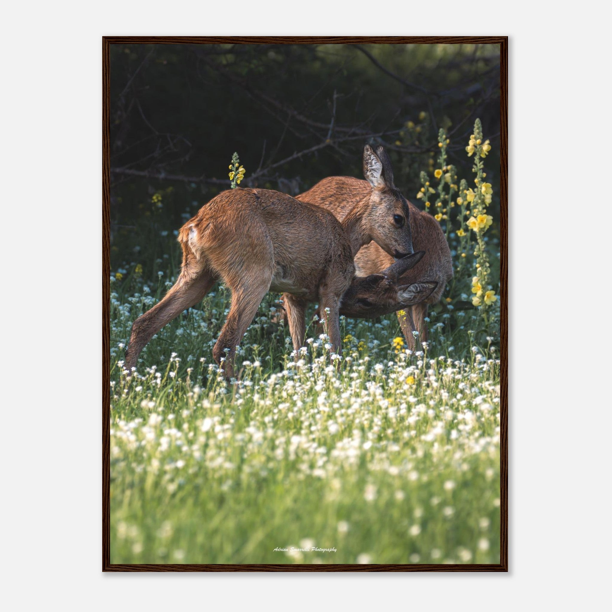 6abeac49-0529-4d51-9b51-5c9a9252992a