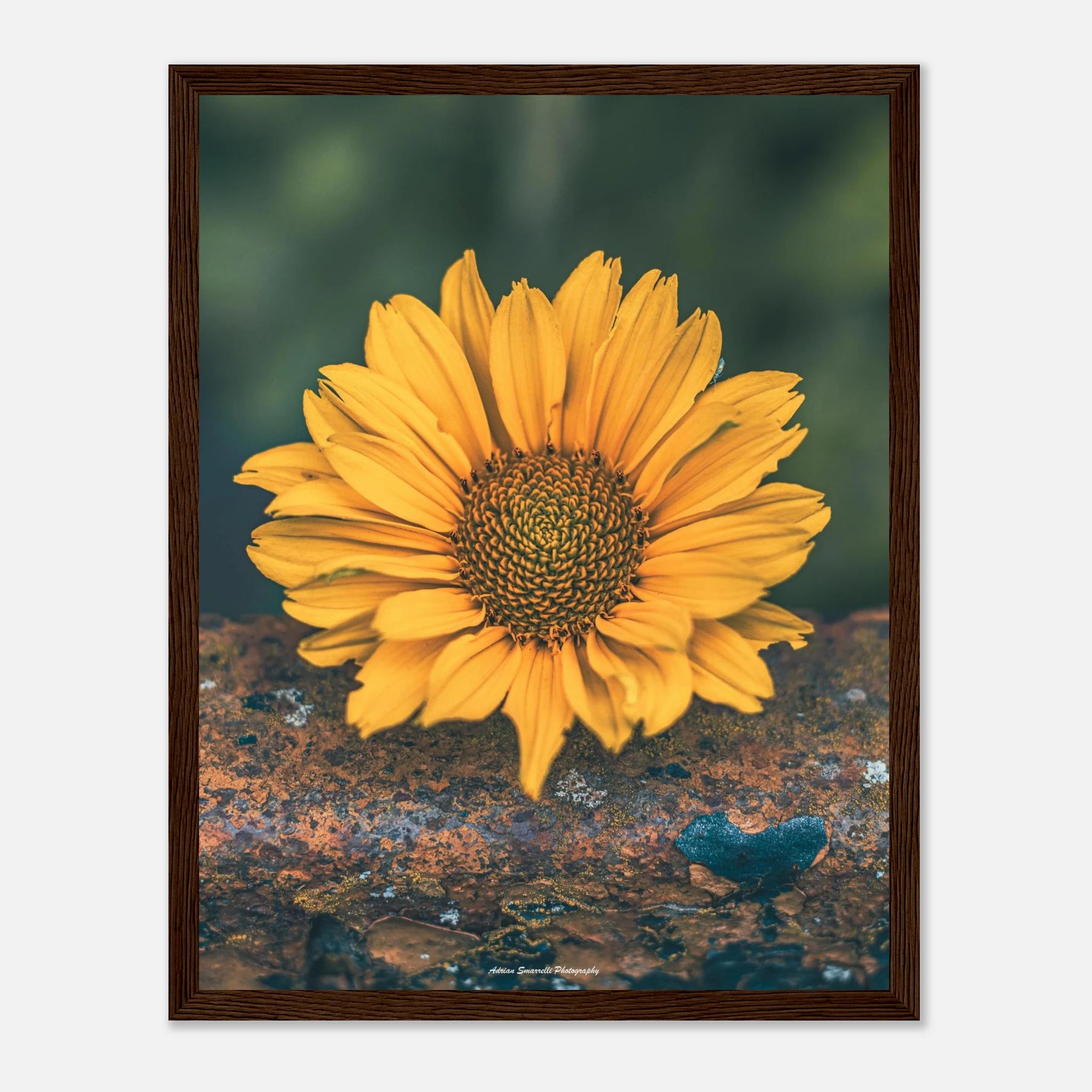 6ad85e3b-eef8-4406-8b96-98ade4e1ec66