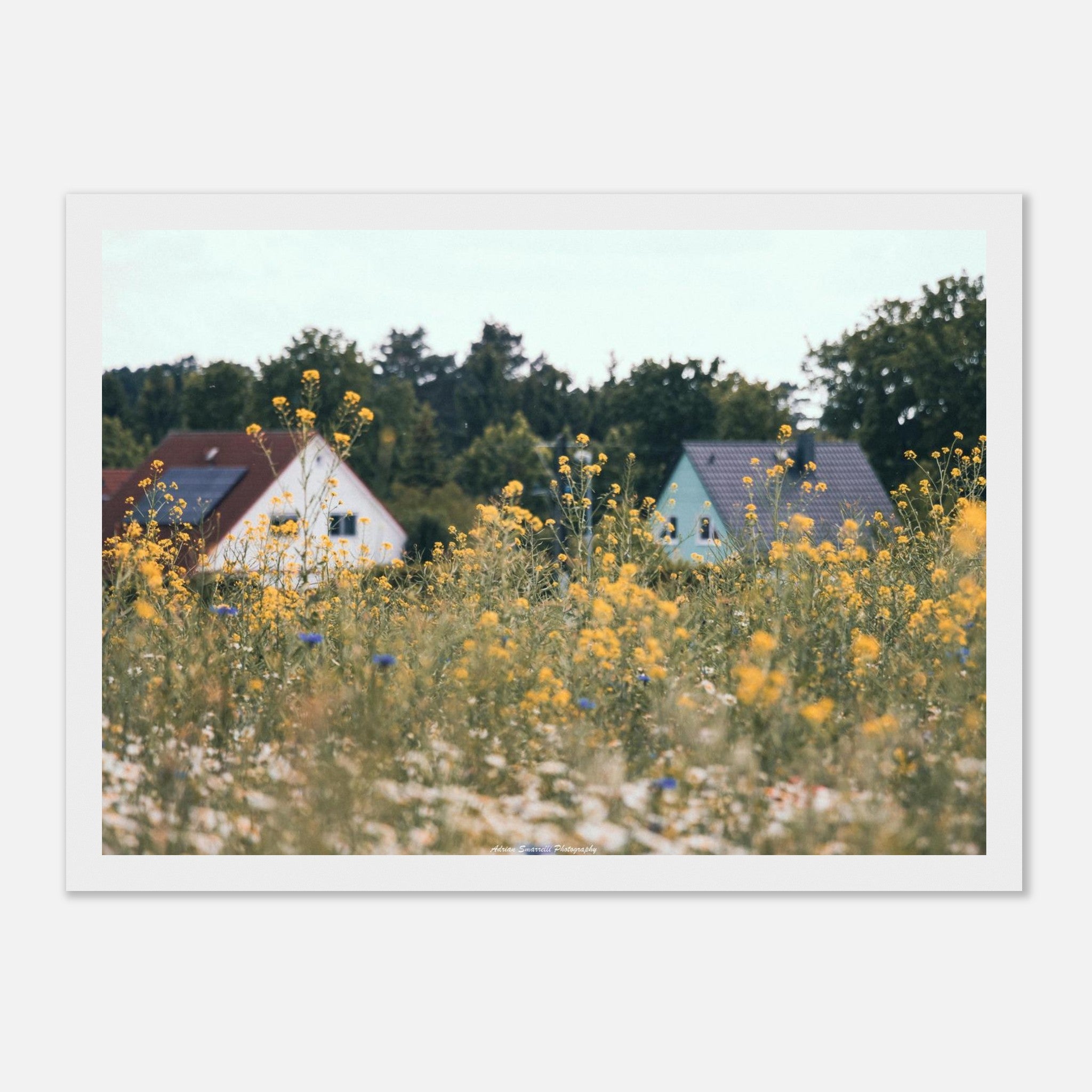 6b68a614-90b6-4bfc-92e2-2b43459b34f2