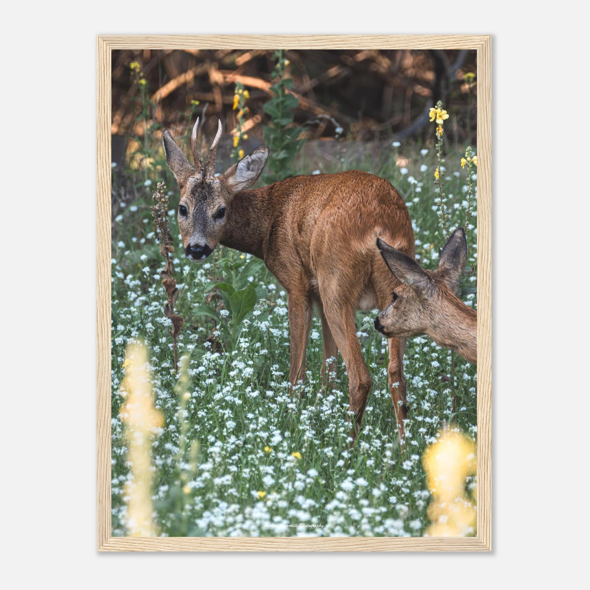 6ca248db-15cc-4d20-b727-f43b3499fb48