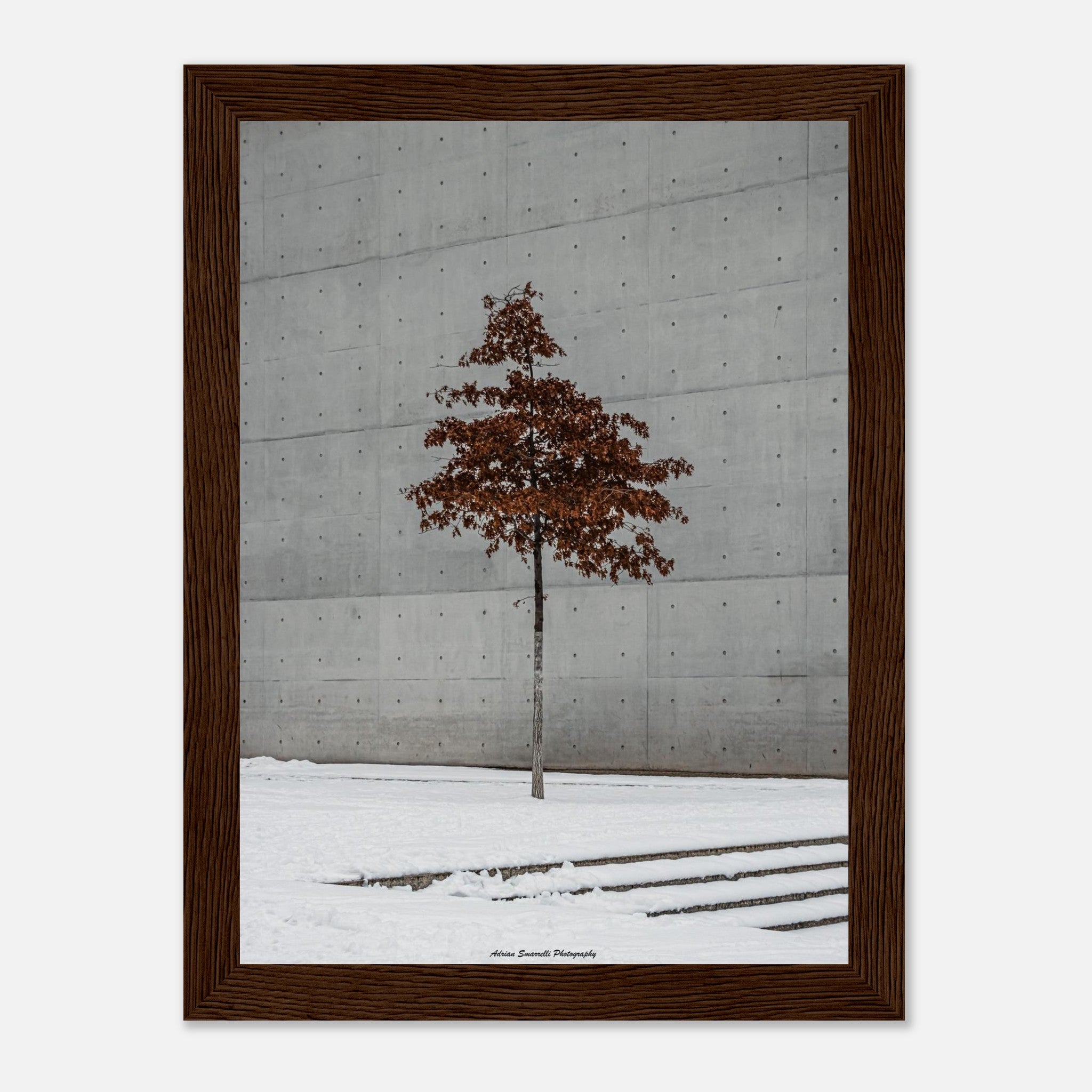 6d4daba2-0f84-47b5-a707-16400b738467