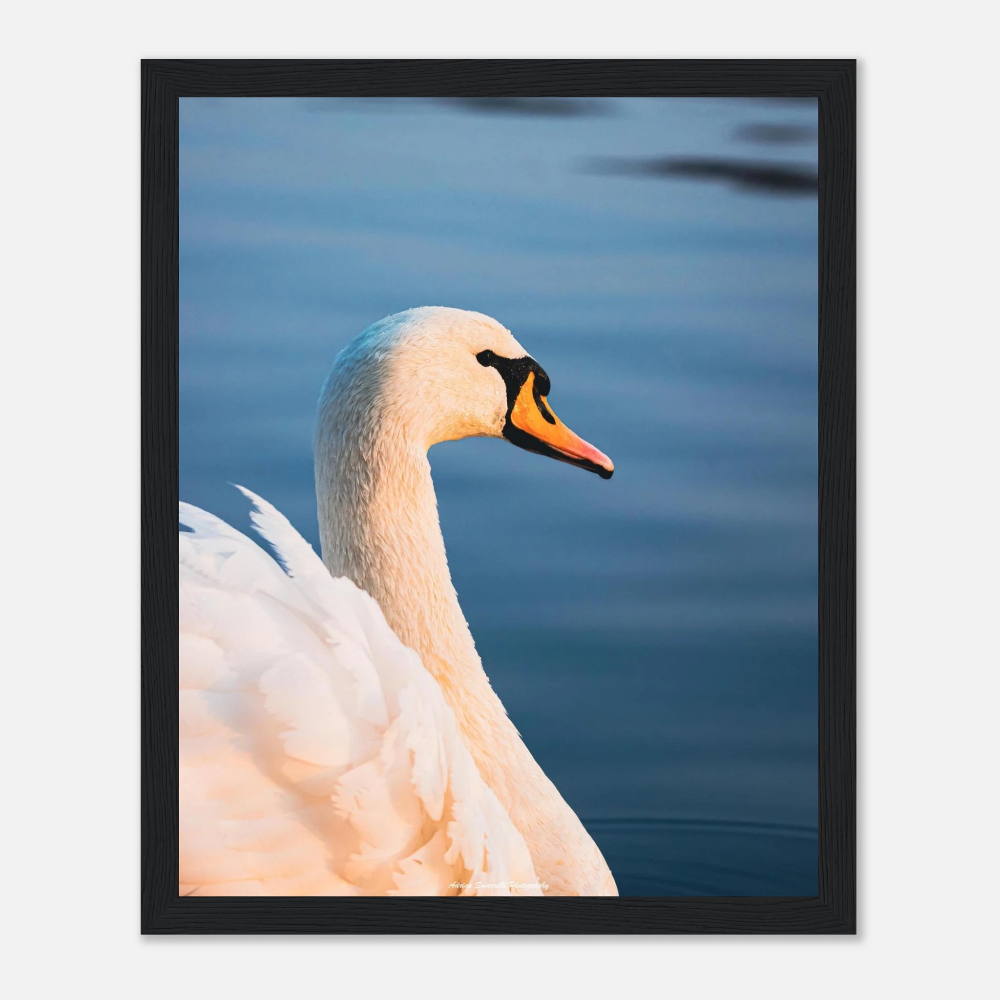 6e0fac13-83f1-4402-854a-4273bbdc6a9e