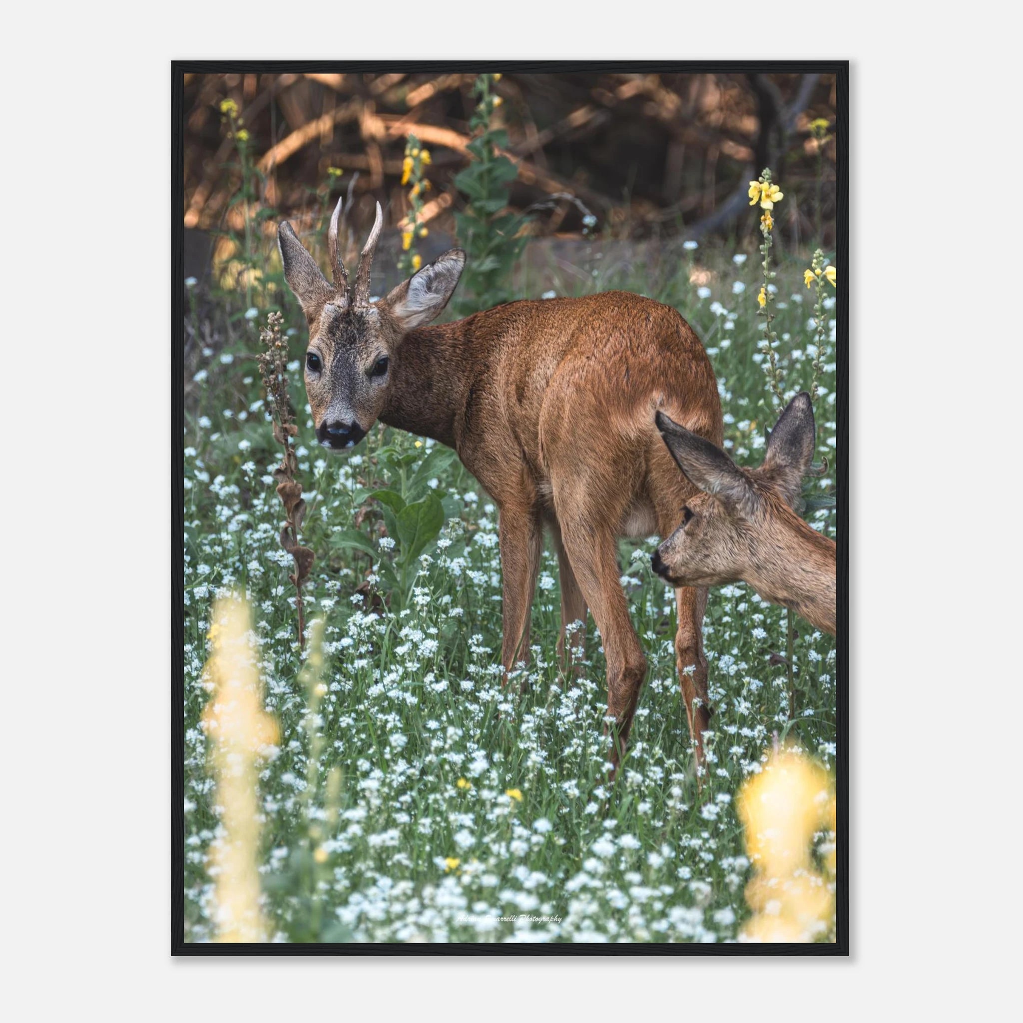 6e612d56-fa74-4b4c-a98b-994bd6e0b5c6