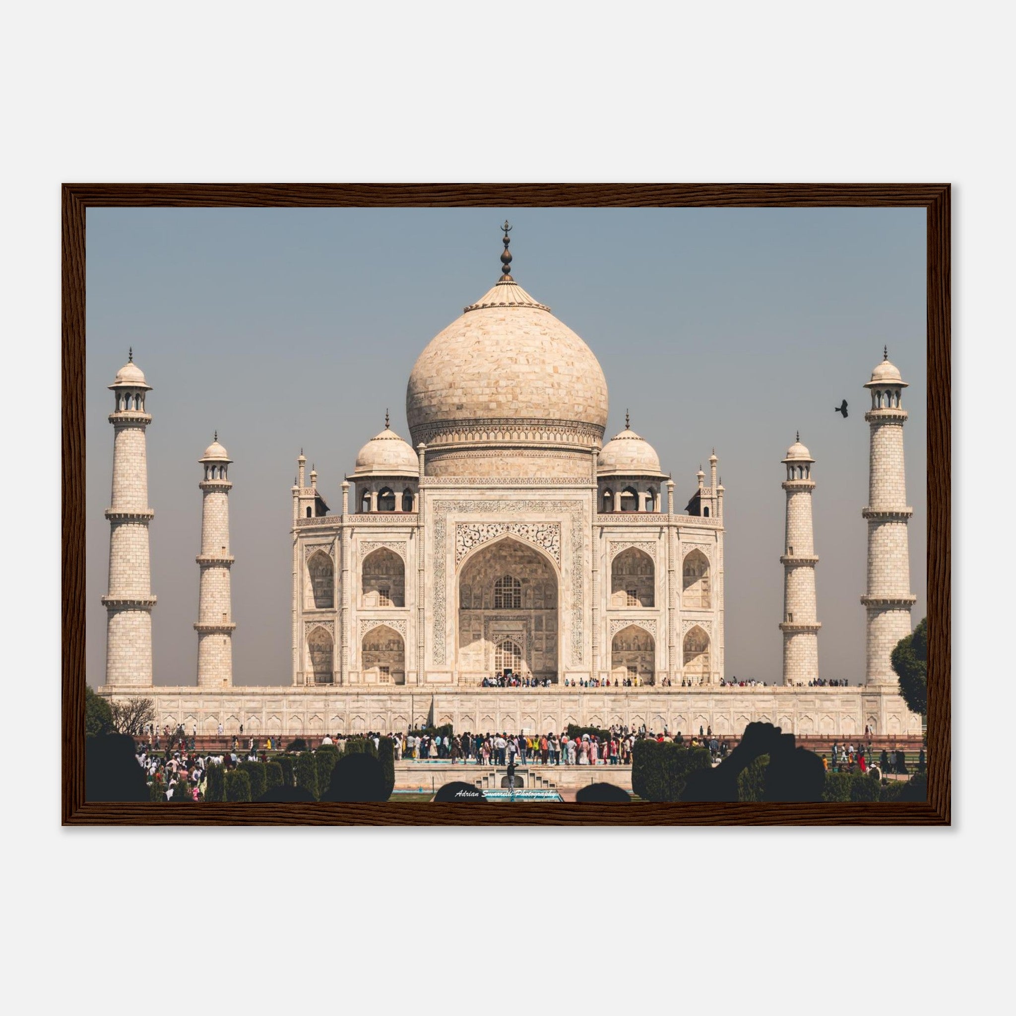 6ea6a073-ac3a-4ad2-81b3-0670c656693e