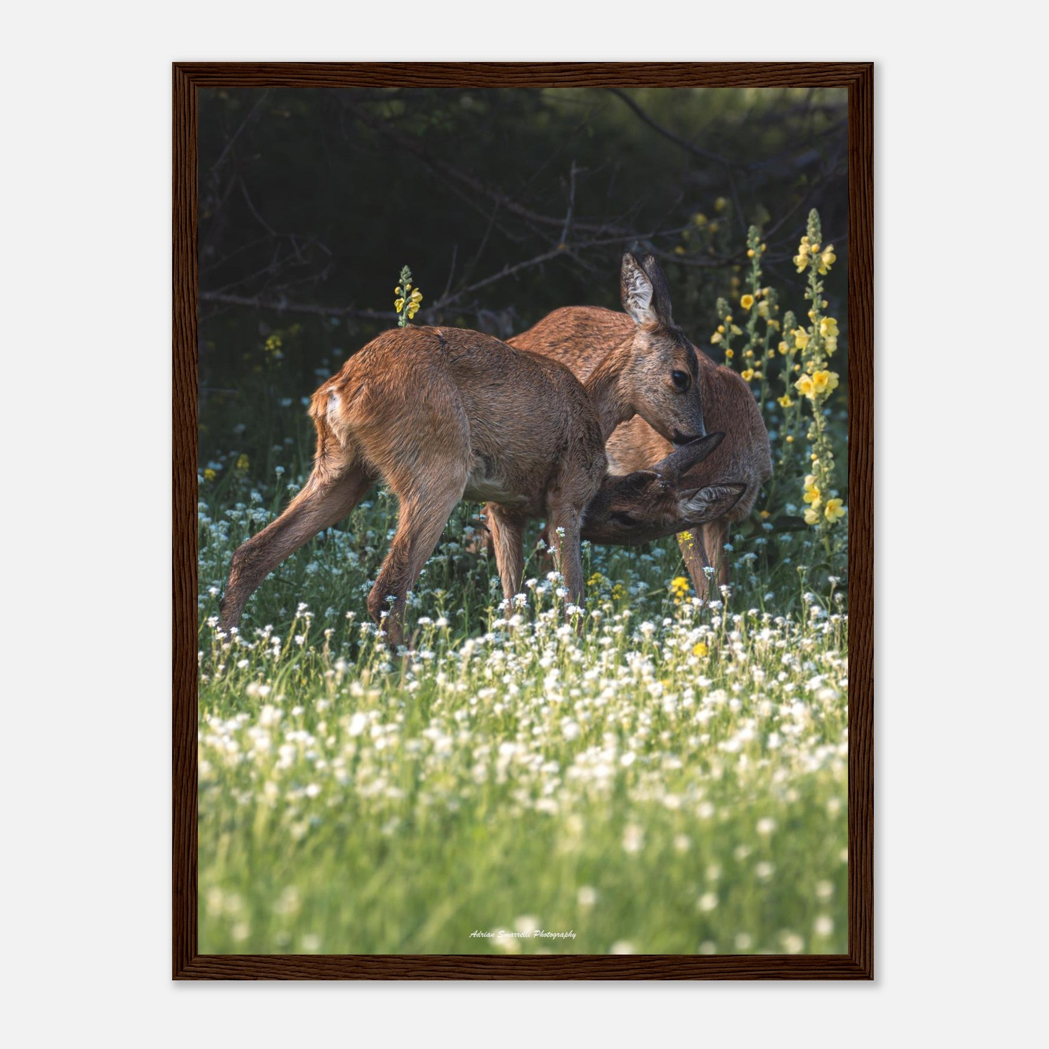 6f5977cf-342b-4696-9538-7dbb5c4e30e4