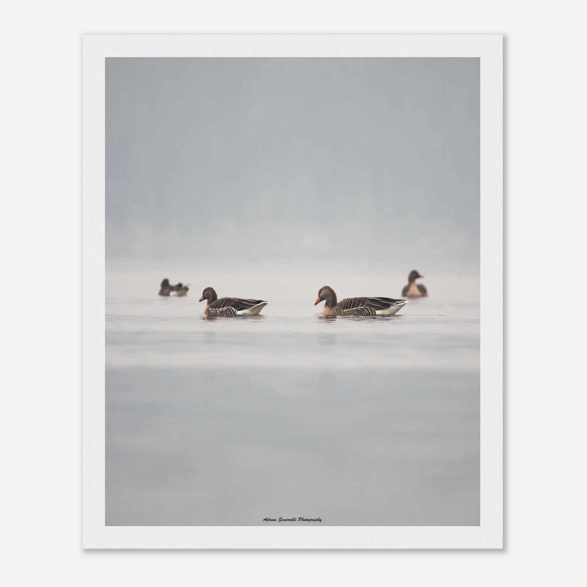 6fb1d7af-47e9-4bf3-aeac-2623229a76dc