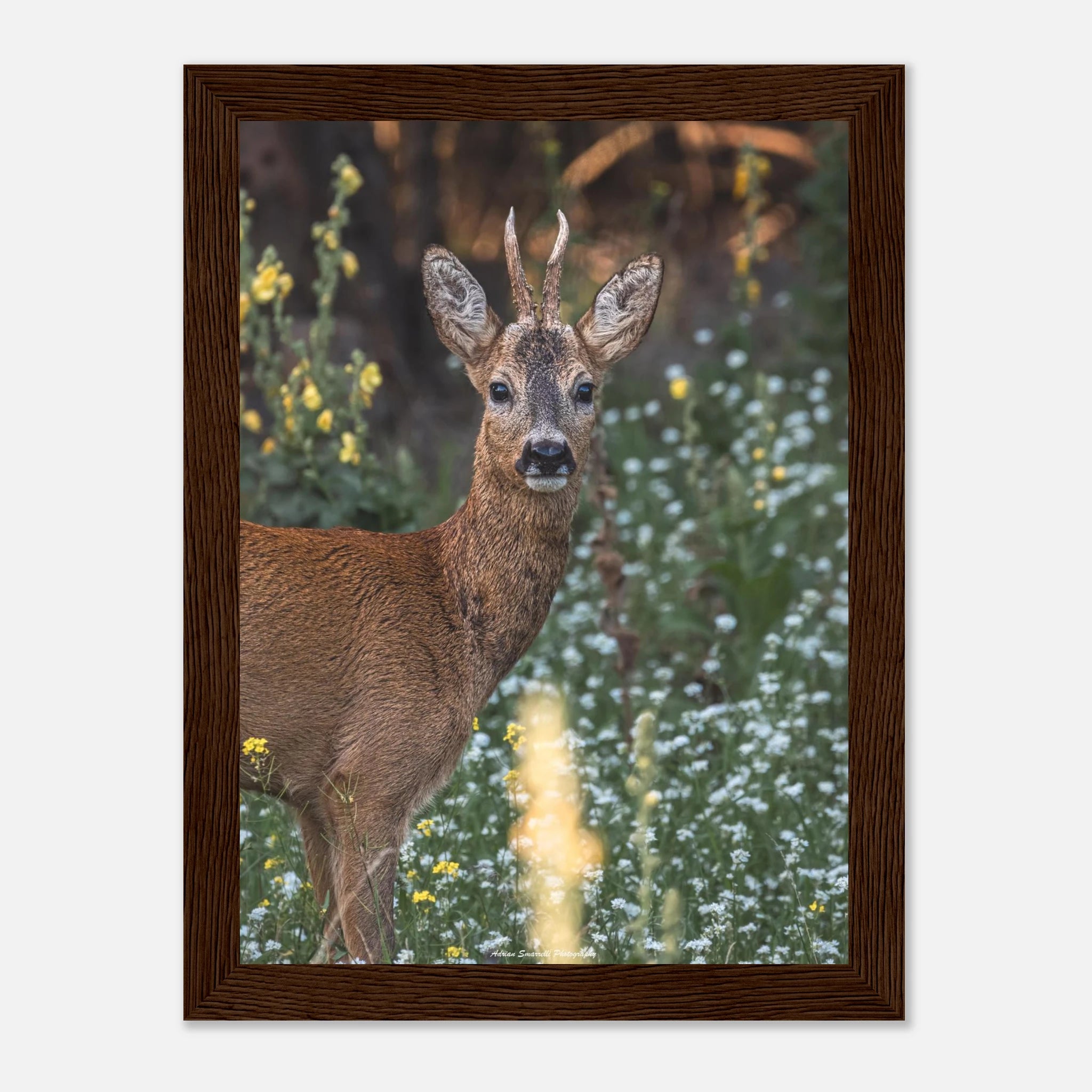 6fd24c91-a7cc-4df9-80d0-9fe9162299b8