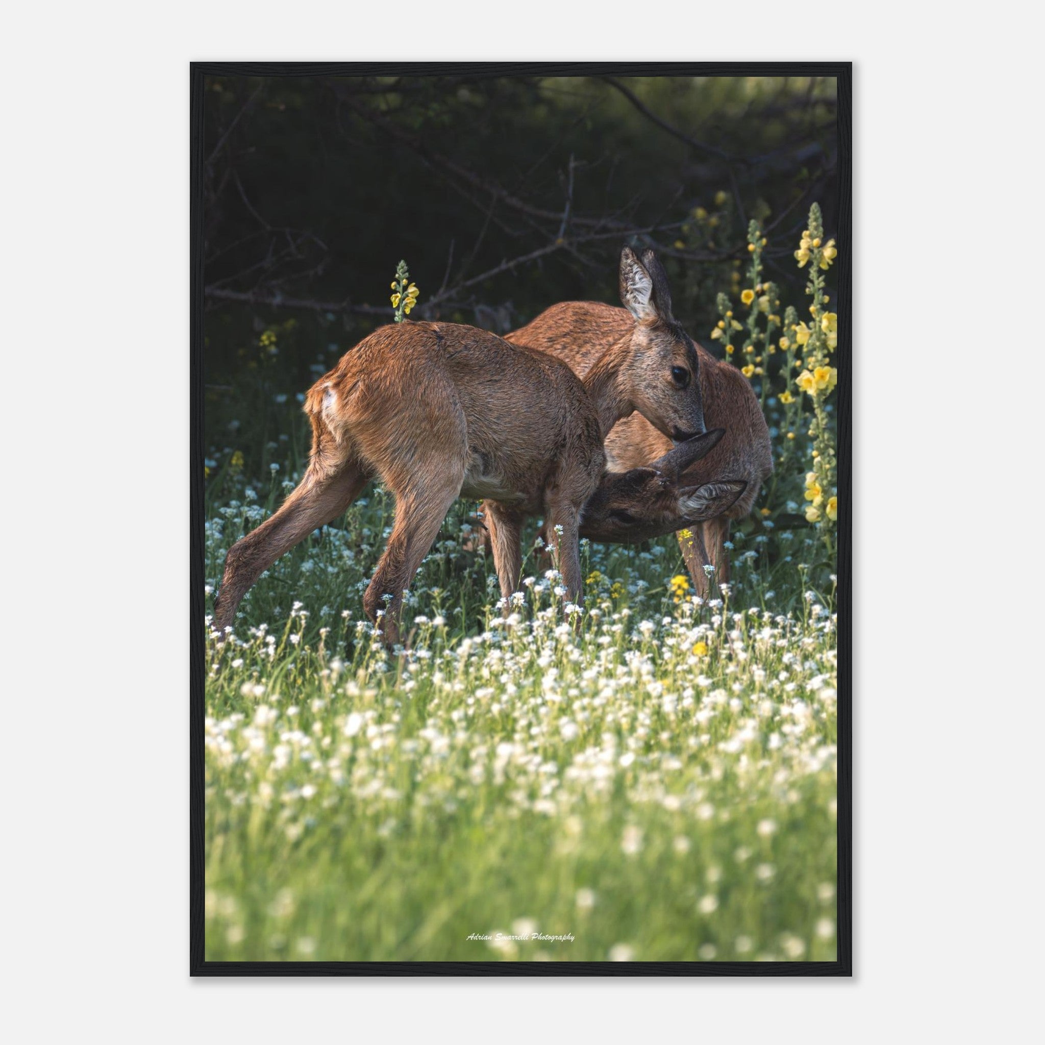 700c7f09-cd99-4fe5-9945-5503cb95636b