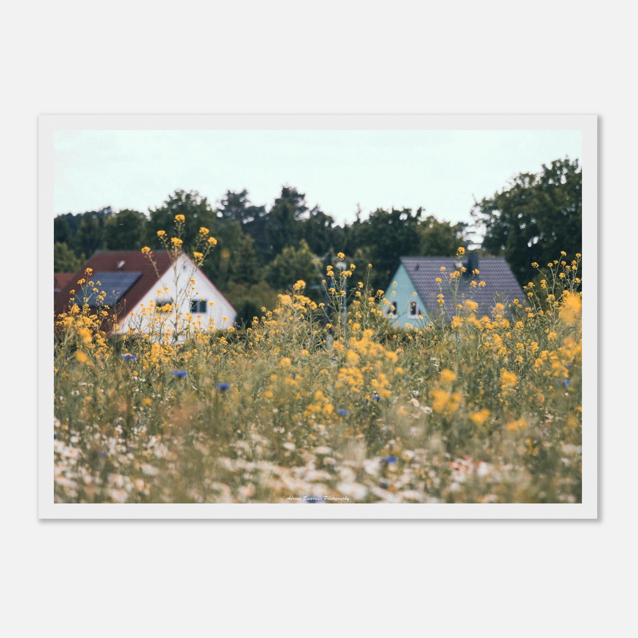 7063a937-6c10-45a2-b97a-729adc815052