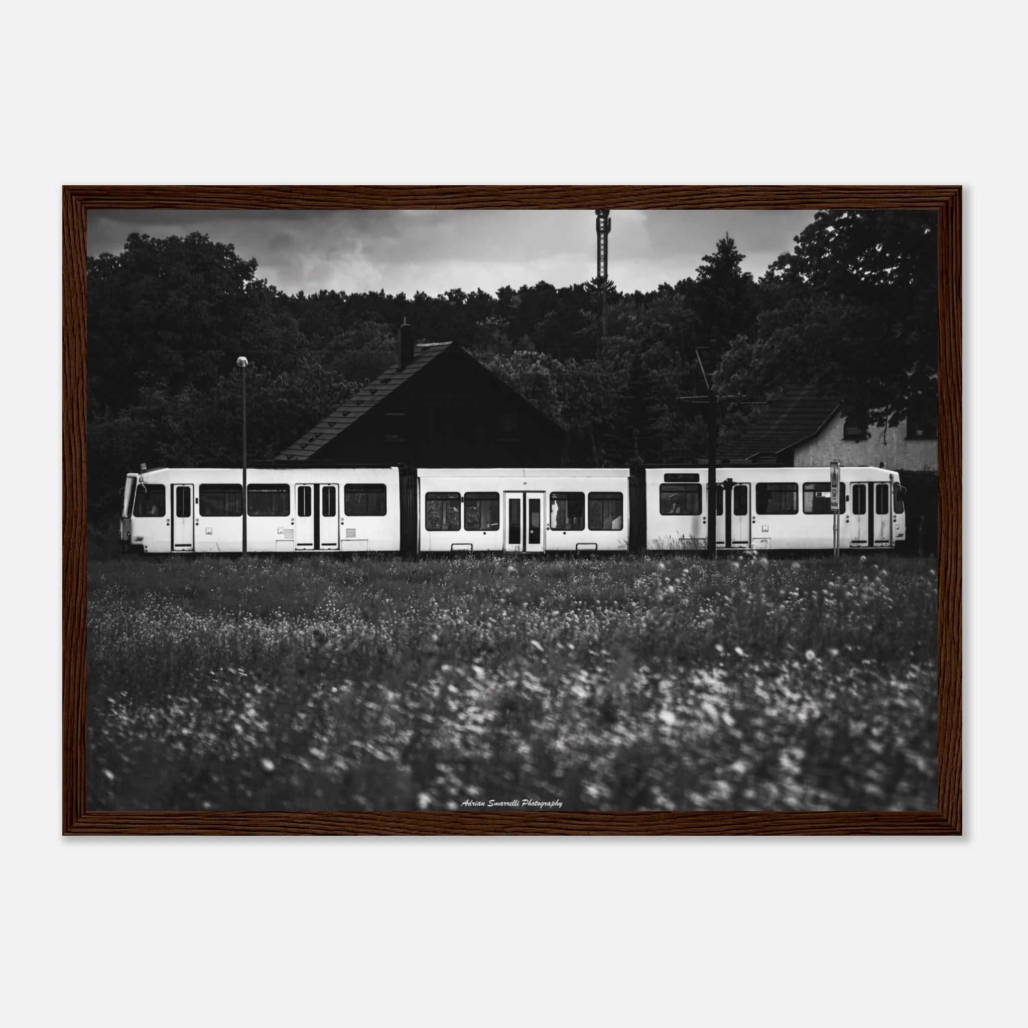 71d071a8-ed36-42e0-931f-8d5103faf8c0