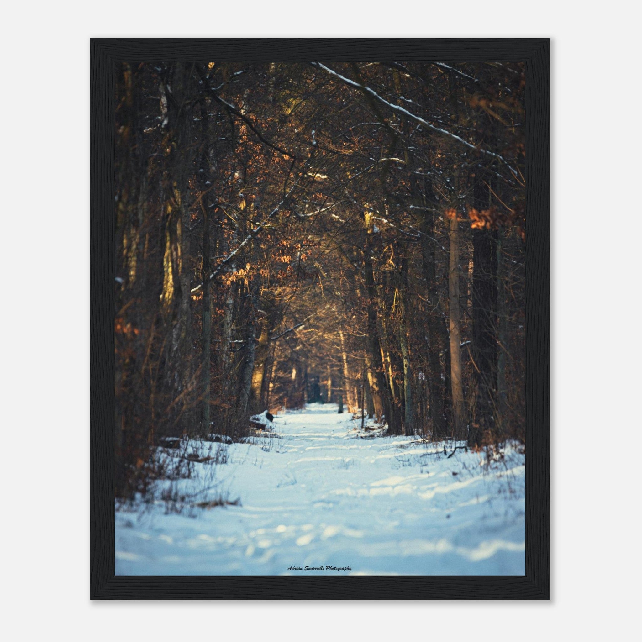 71f86558-73c1-4ddd-8958-285599e65021