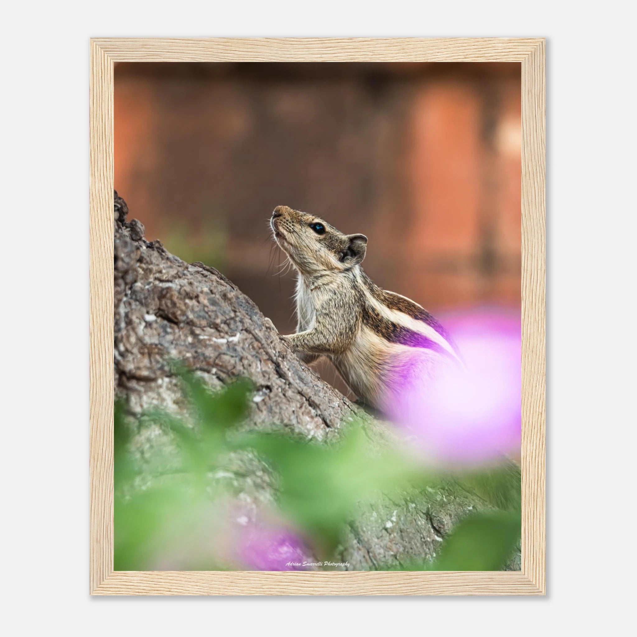 72925477-ad28-45bf-8943-f08ab630c872