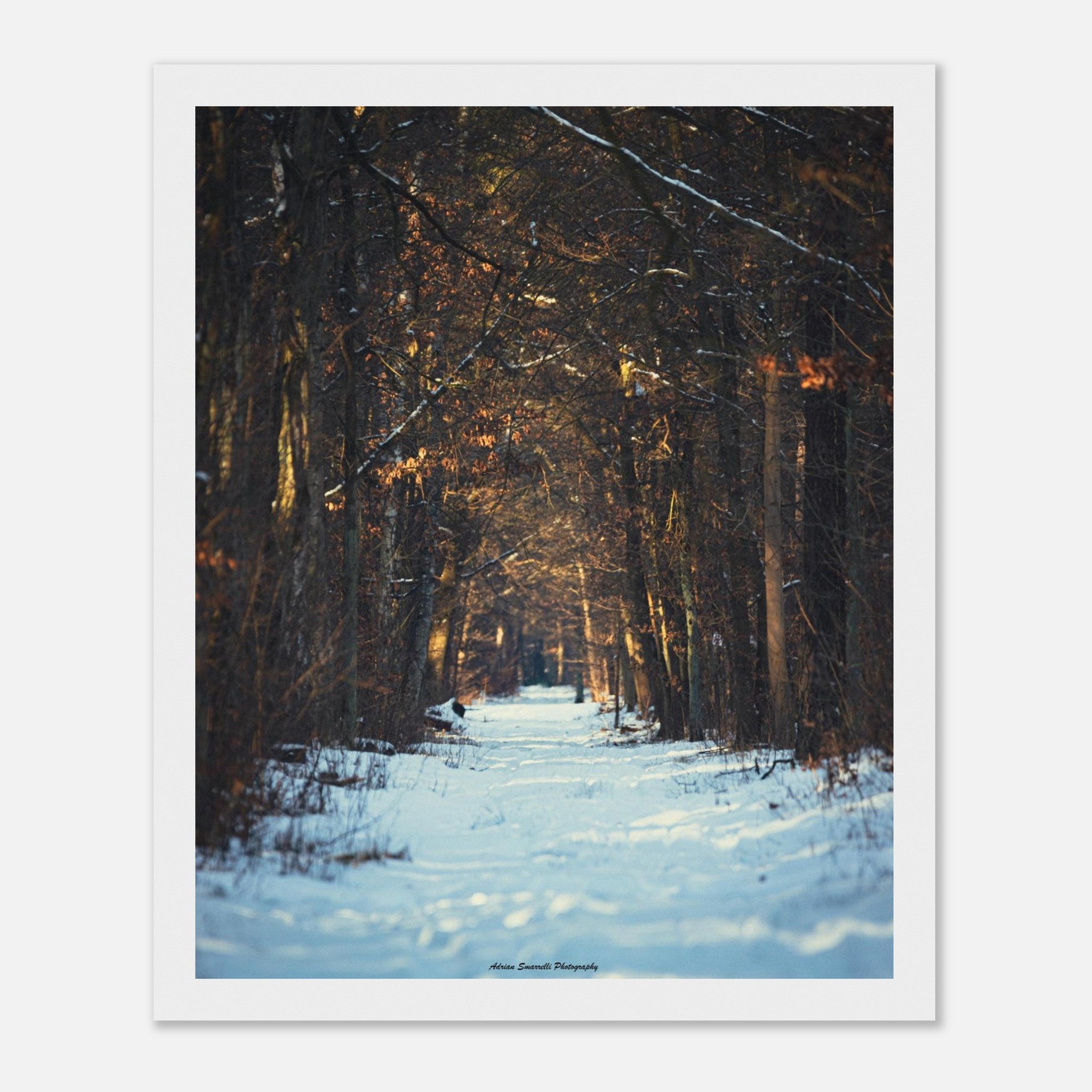 753f8bec-5e33-4caa-9bd8-a1bf0a1c54a5