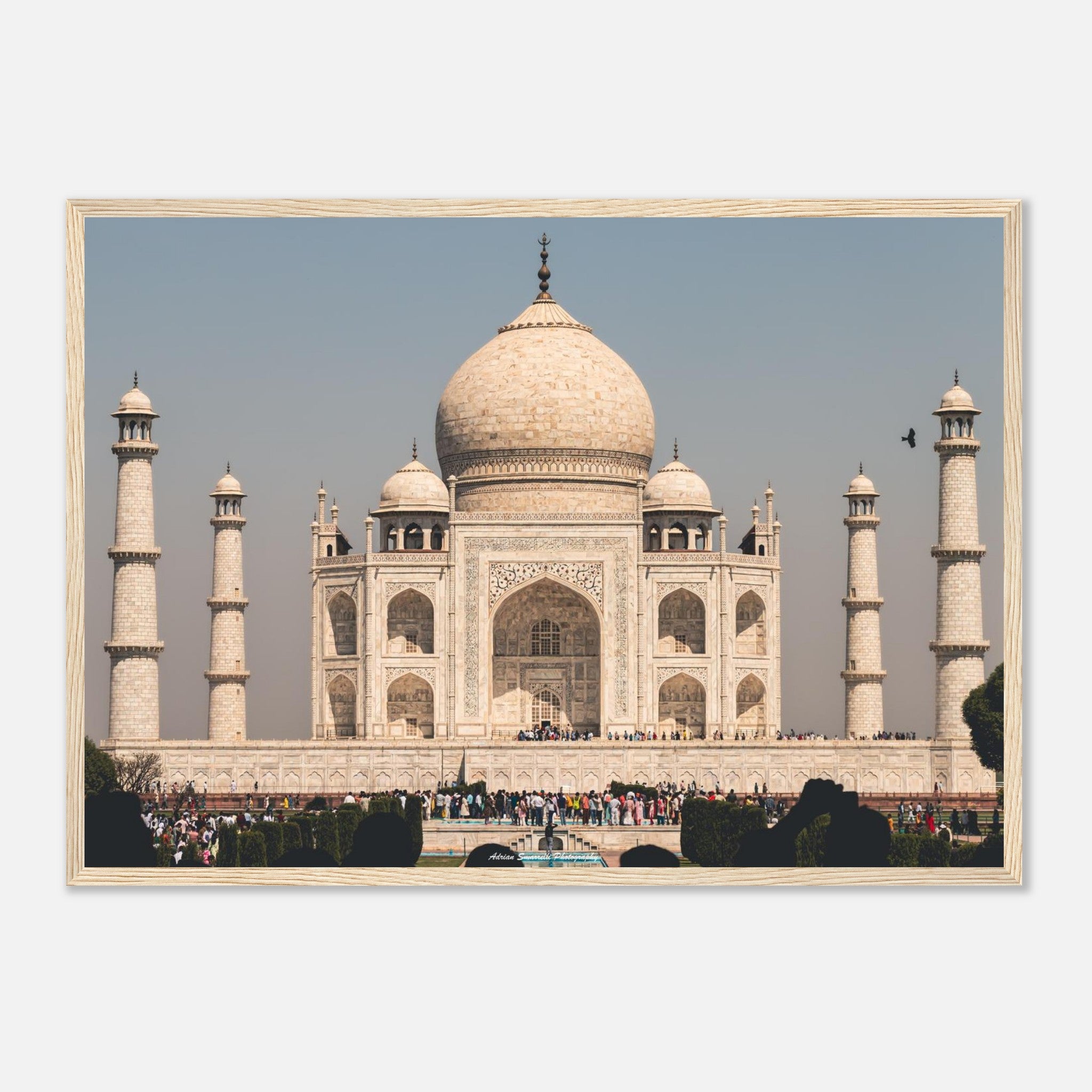 75cf087d-c4c3-40a1-9464-1be9b5a6b308