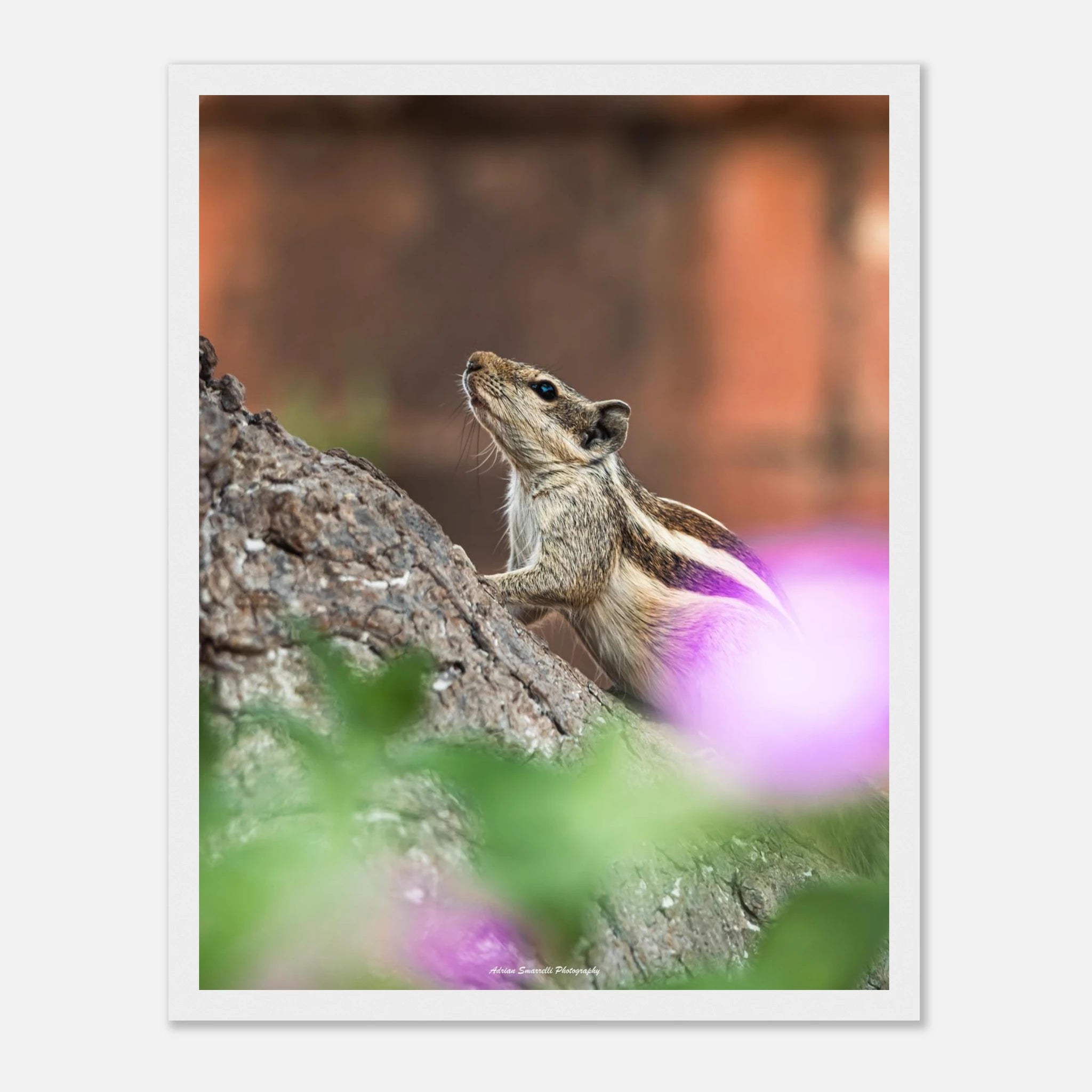 781cc7e6-8b54-4e08-b733-d5615aef2a8b