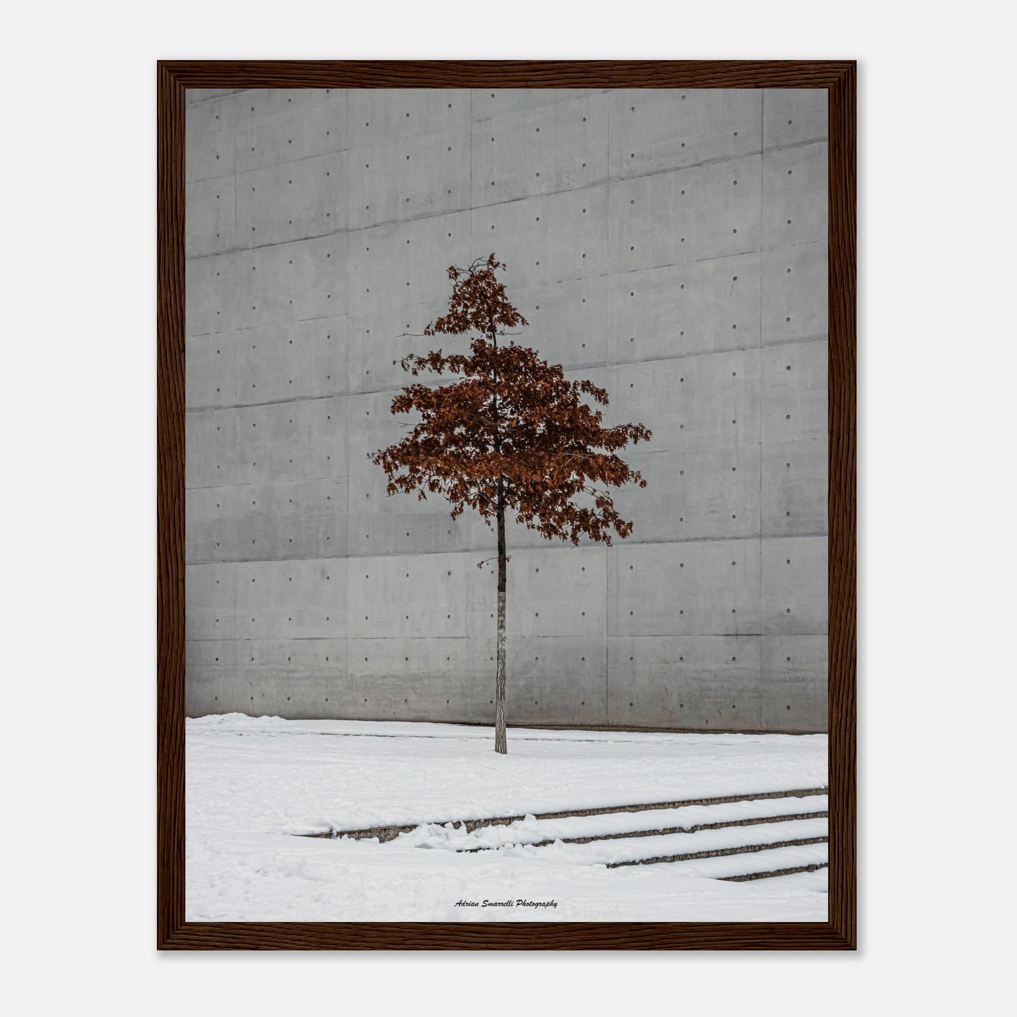 795e5859-94a2-4156-ac6a-87dbf35854ed