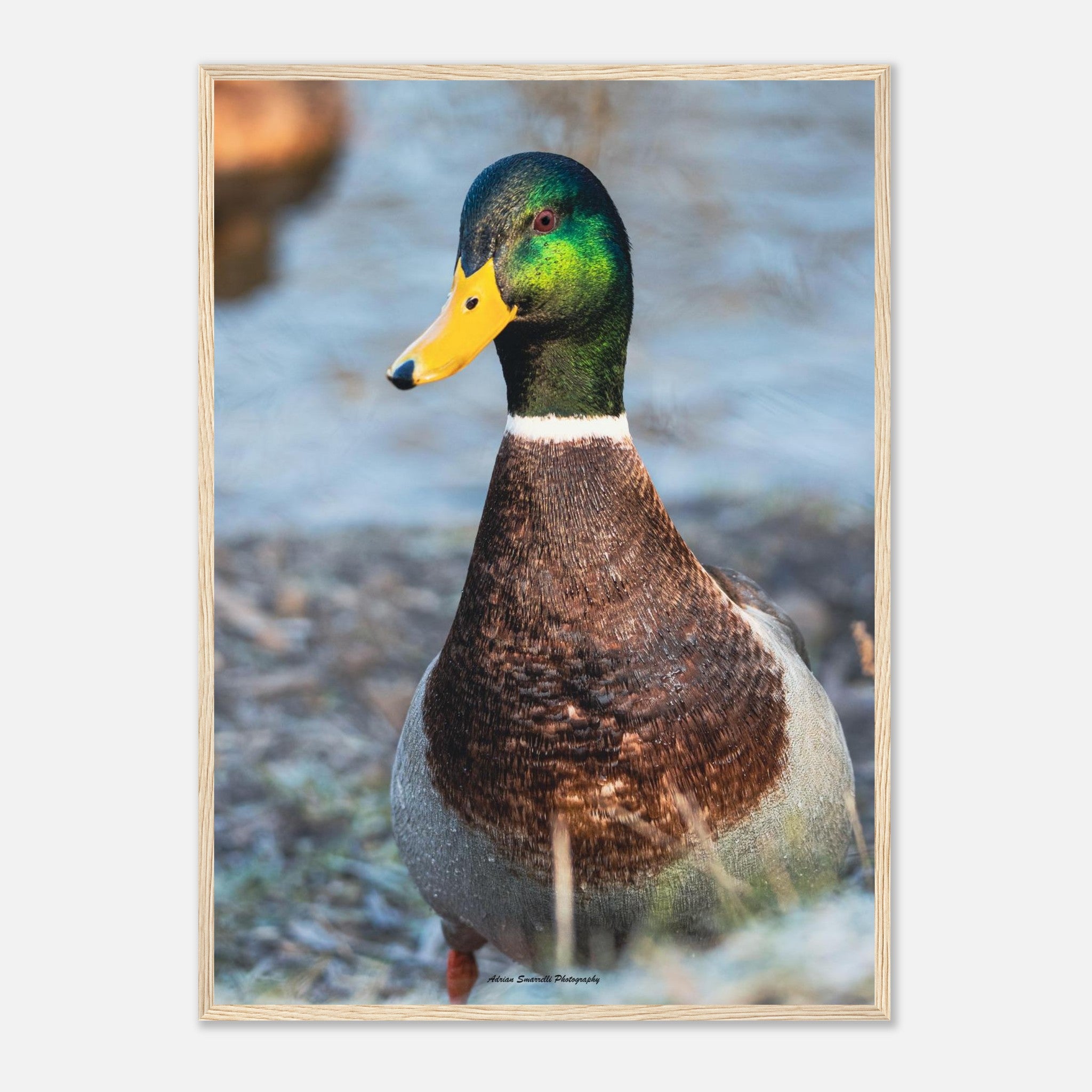 795f5920-d9a9-43c3-a56d-79dda0793f5f