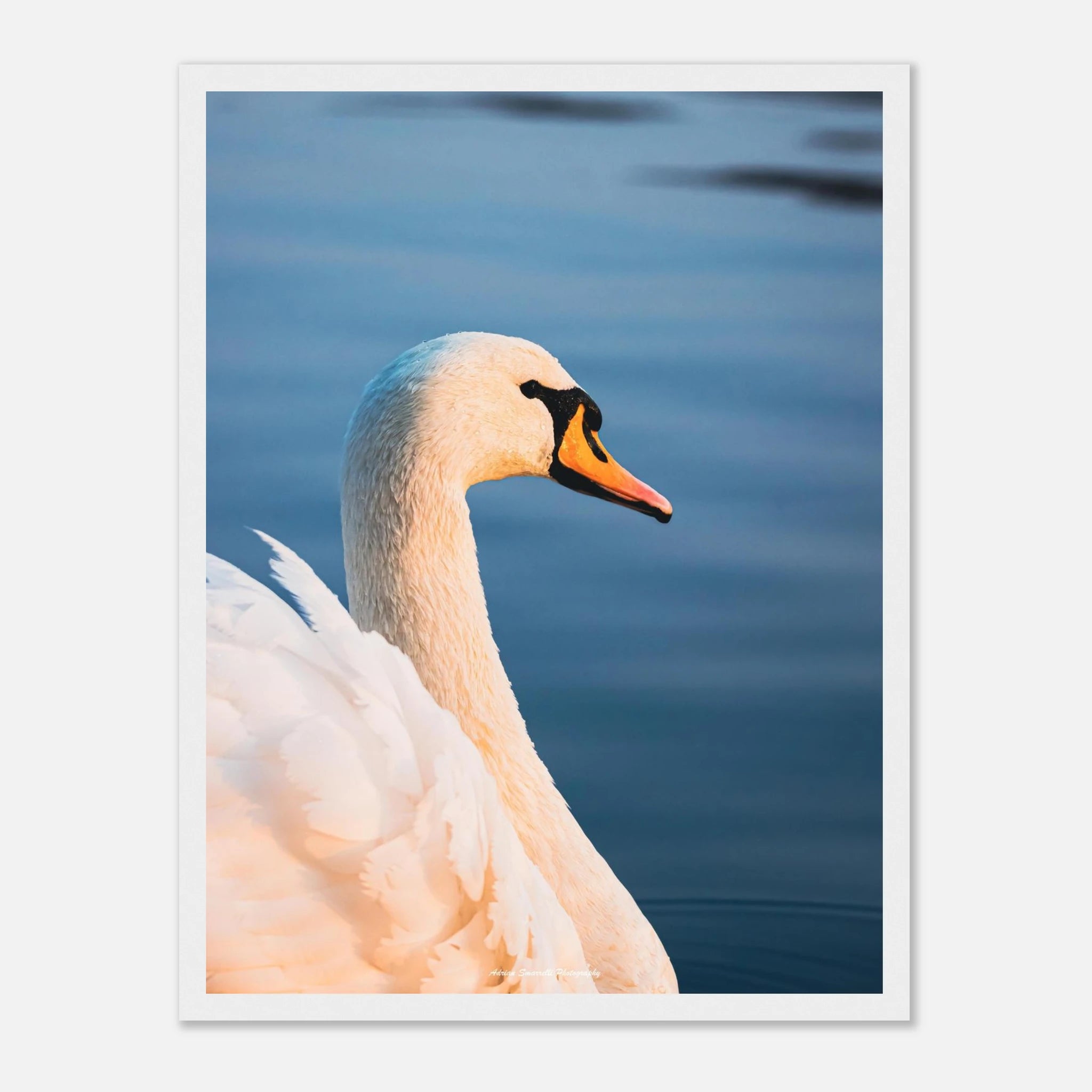 7962ac70-4f94-456d-a136-098bf1b05fcc