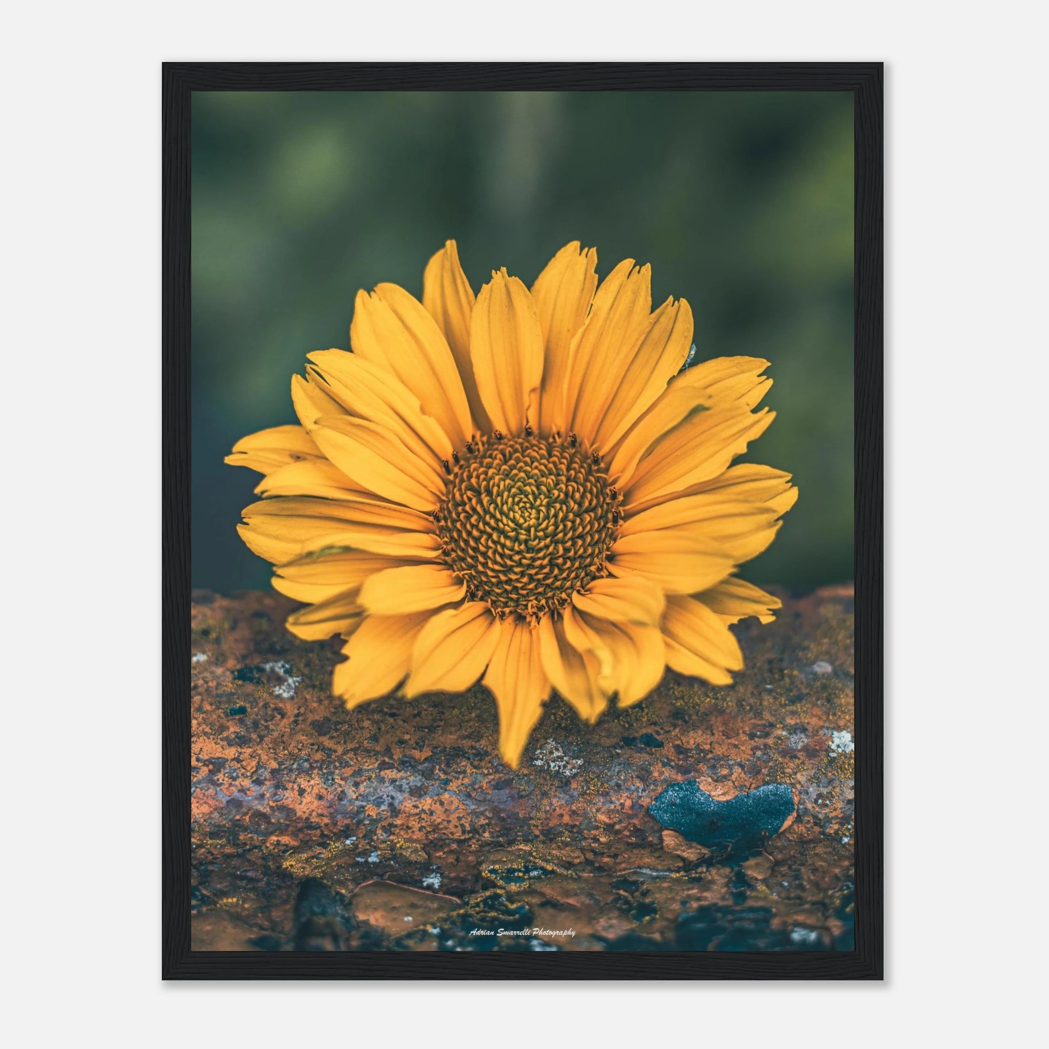 7c2a43c0-225c-48f2-bc82-c7ac6bb670be