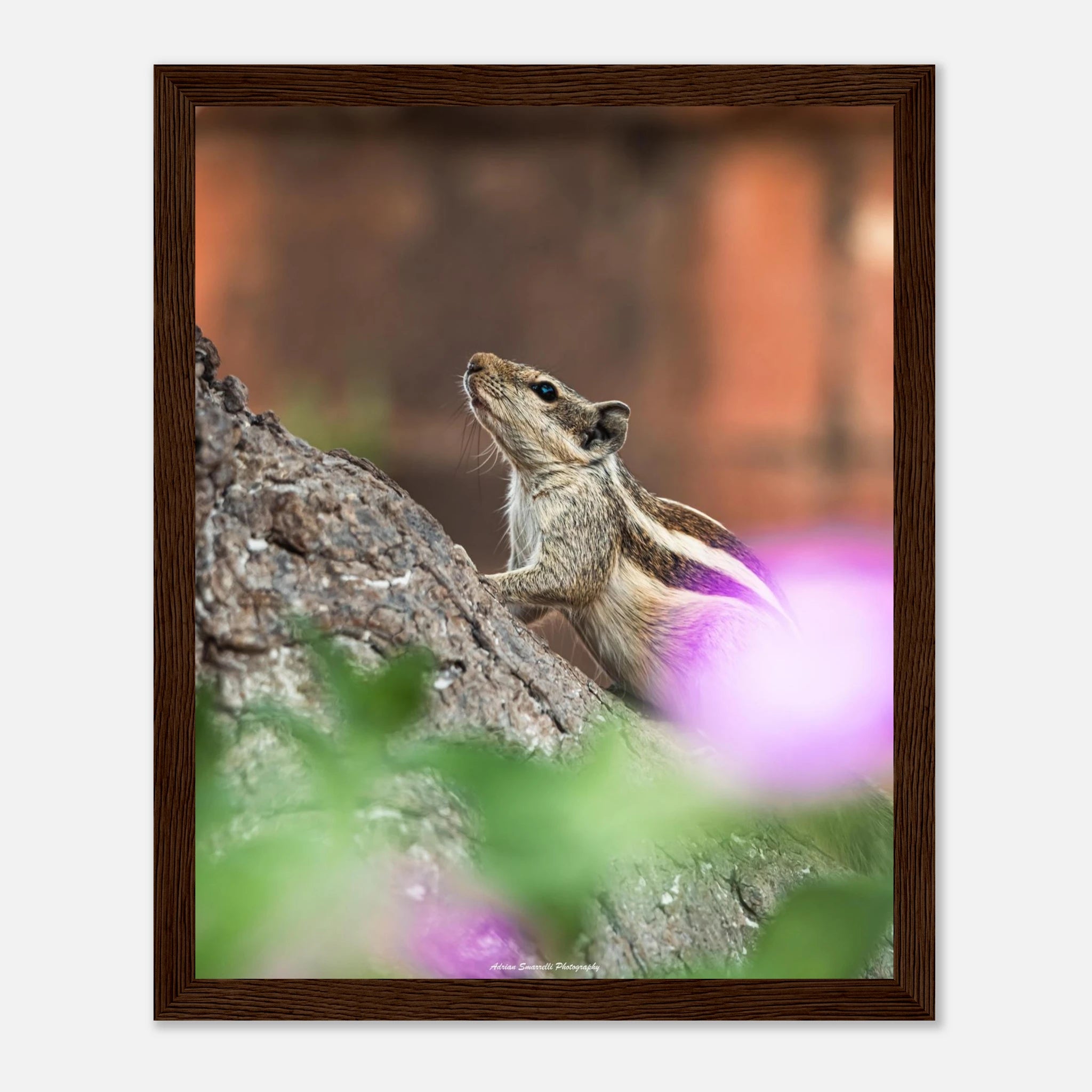 7c9d4a2a-d276-4016-a3aa-e55e04086b1e