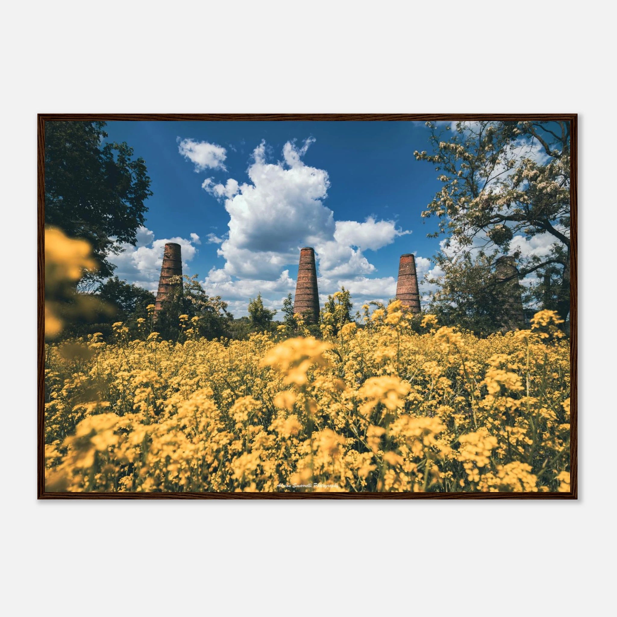 7ef831f7-e611-4326-8e82-0bdf60d766ef