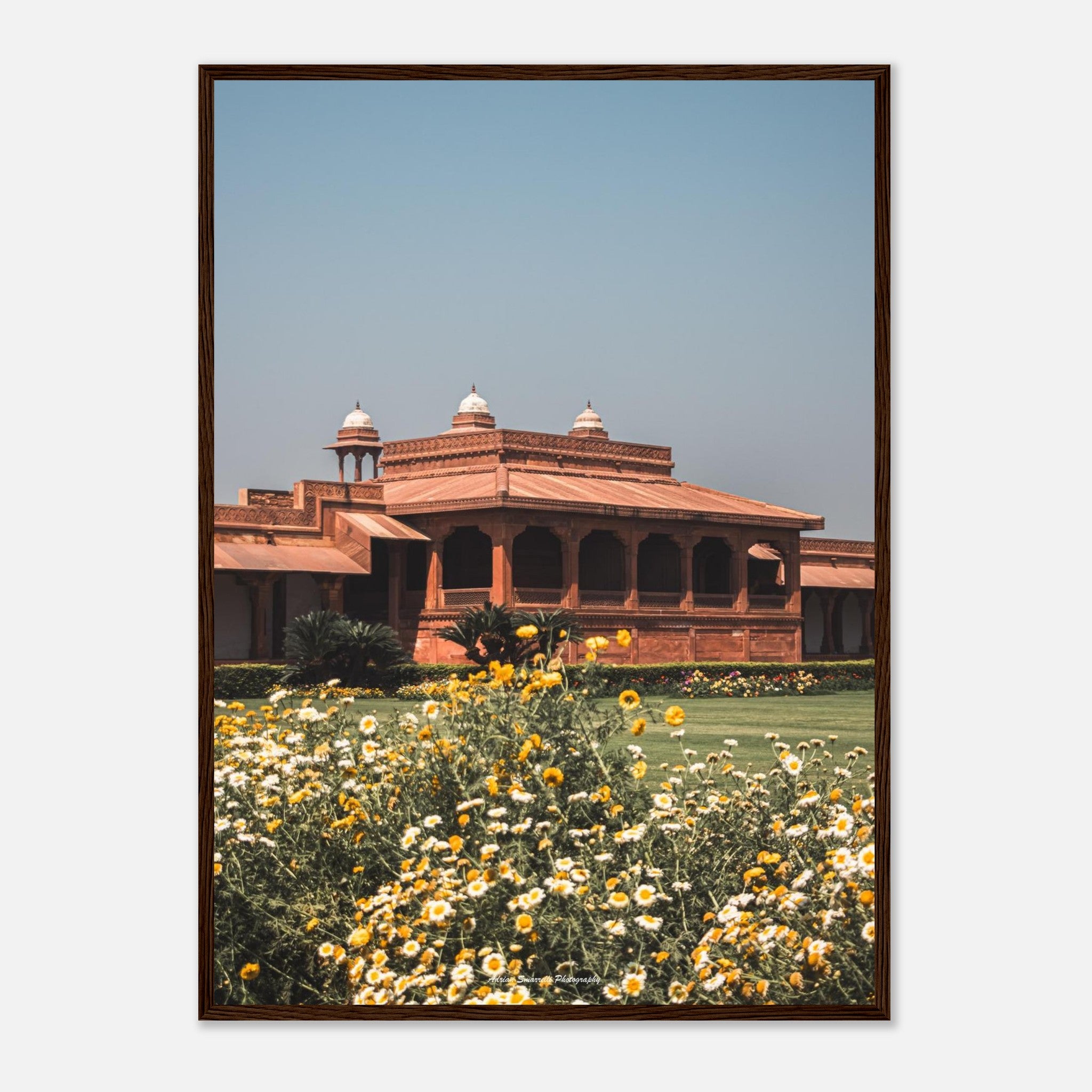 7f20978a-68d6-4529-b7df-3b3e0721dab5