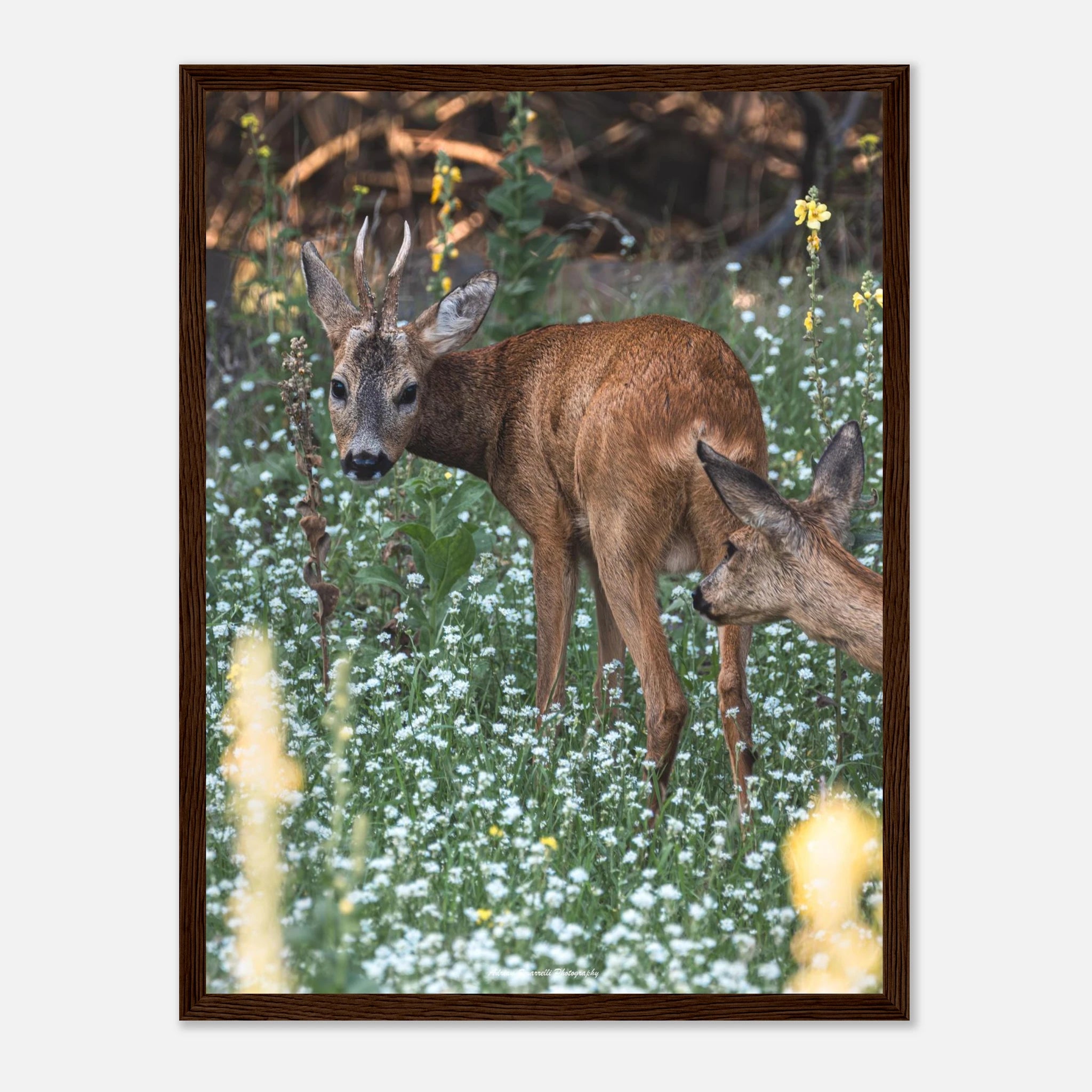 7f604fd3-06b0-40d1-afb4-d263efce8d8e