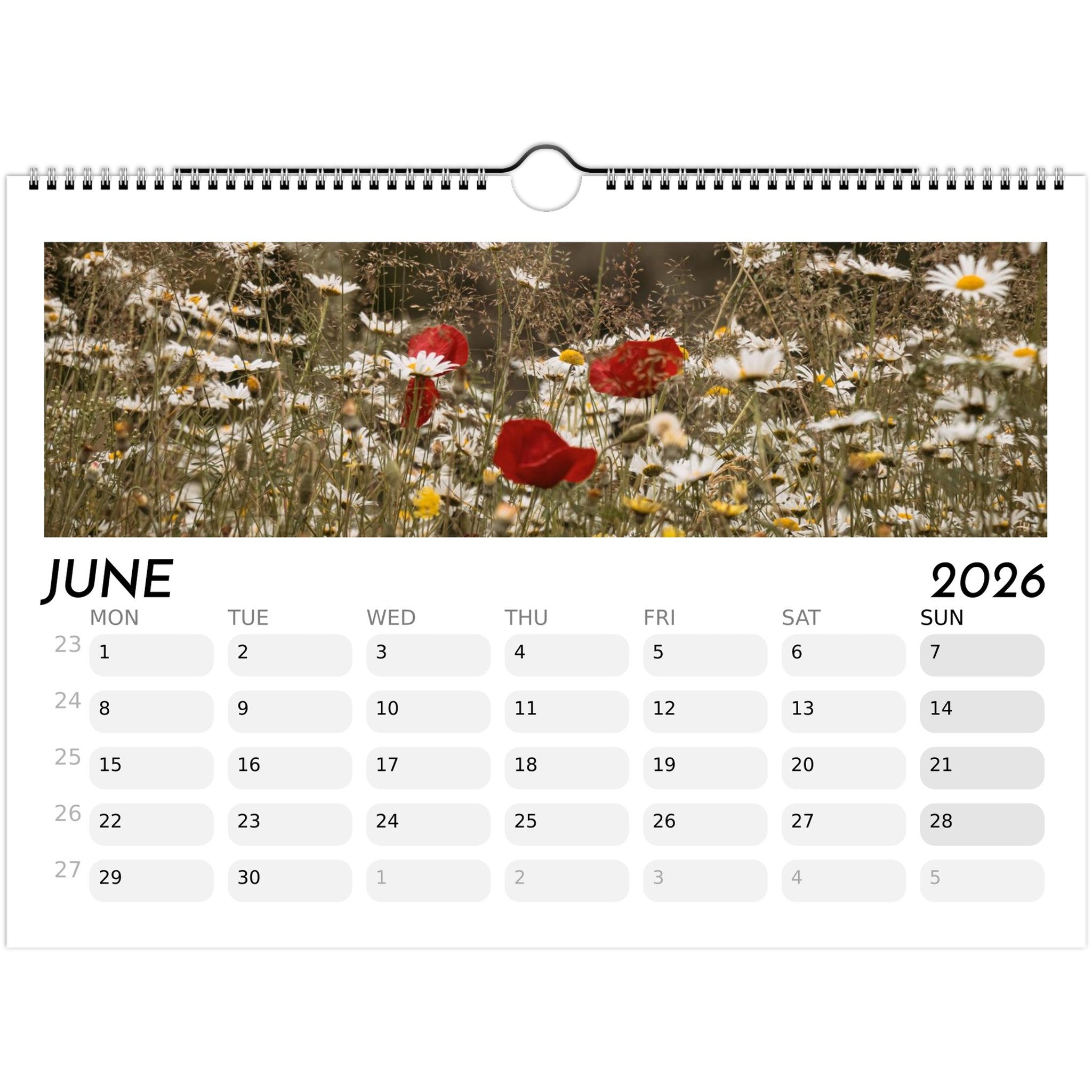 803e51c5-ebc2-4deb-ab09-0521423d7ecd