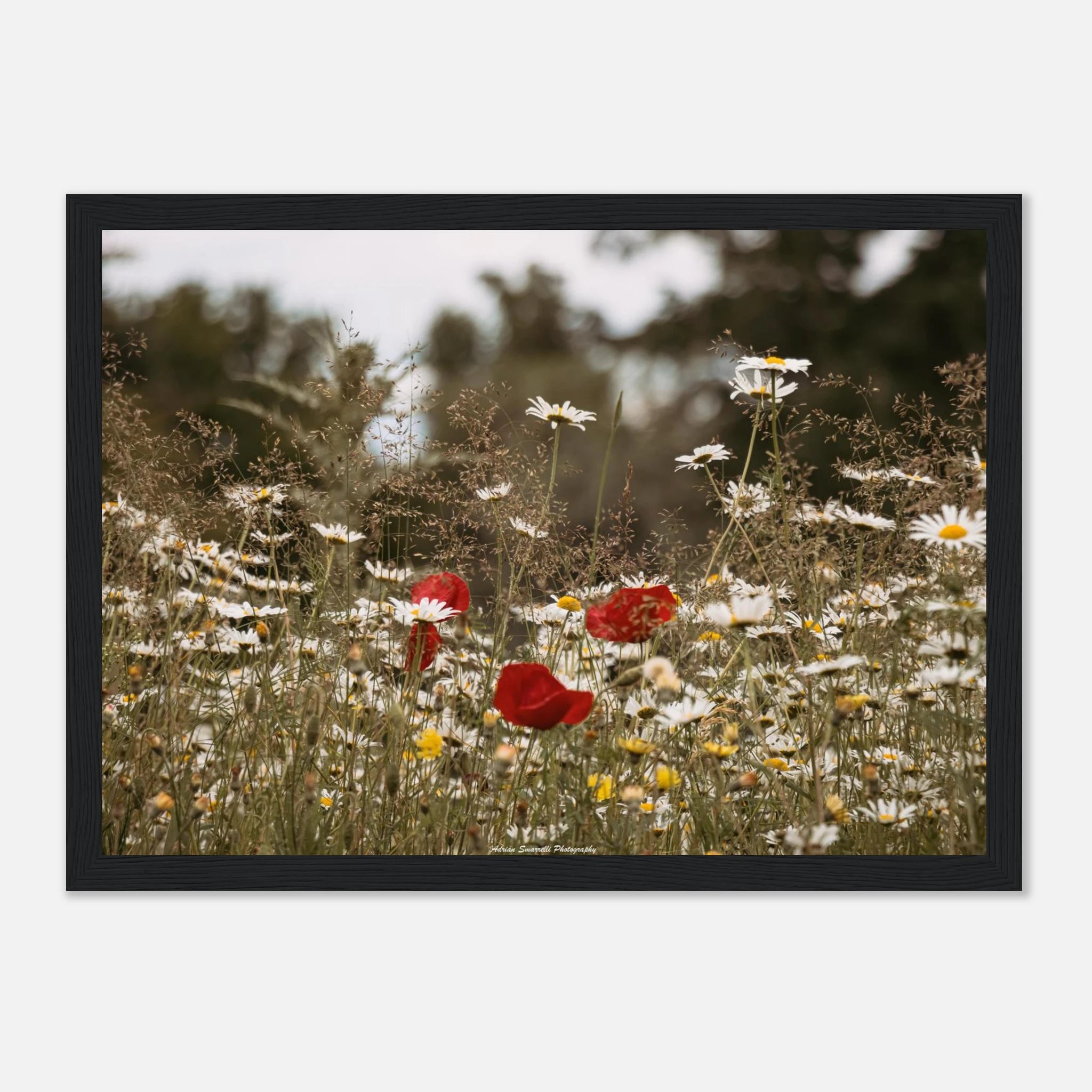 80f13b7a-ef12-40a2-aa0a-f96c9a027251