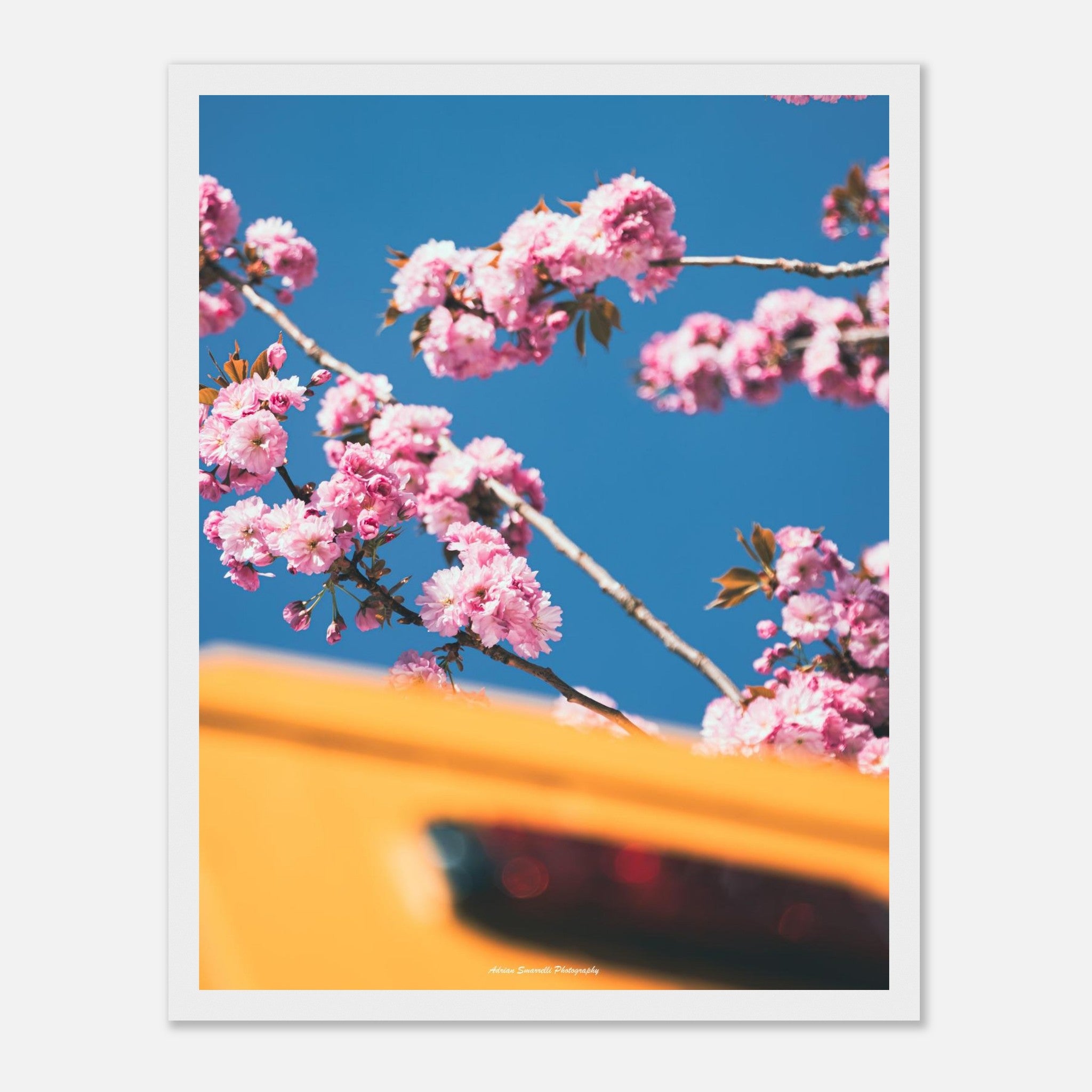 830a4af8-c122-46a1-9f20-3b0124c9b18b