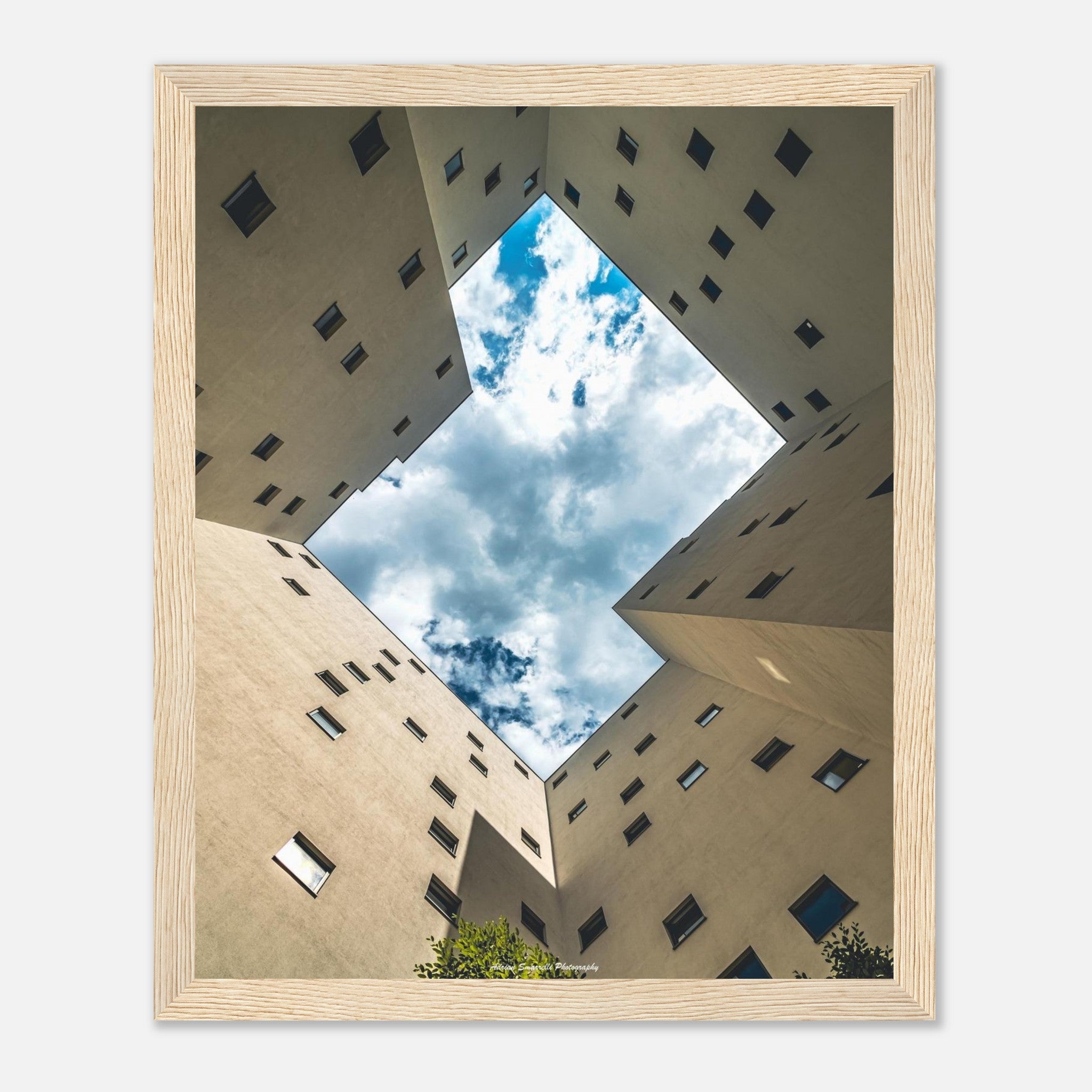 838f6858-0782-4169-ad02-020774257946