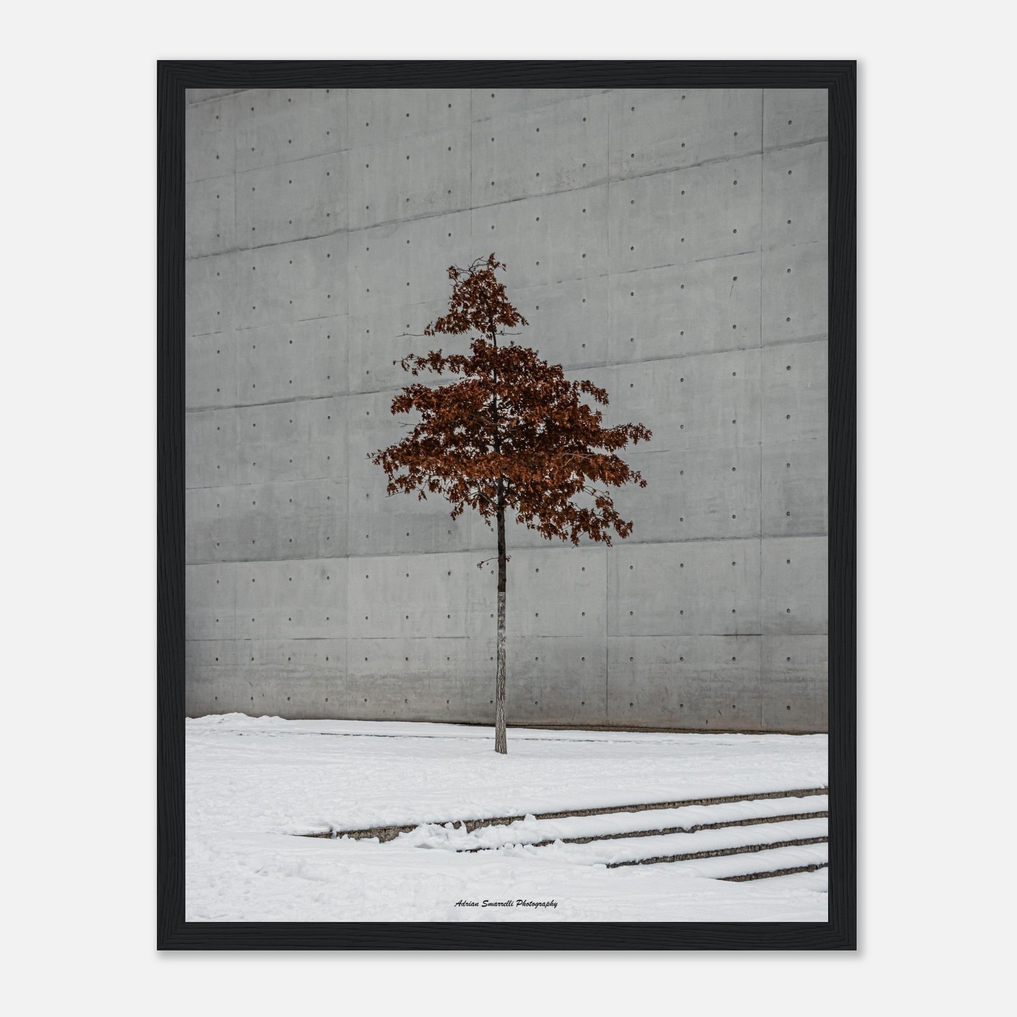 83ebb7db-7cad-41ce-95f1-a018fbfa74e1