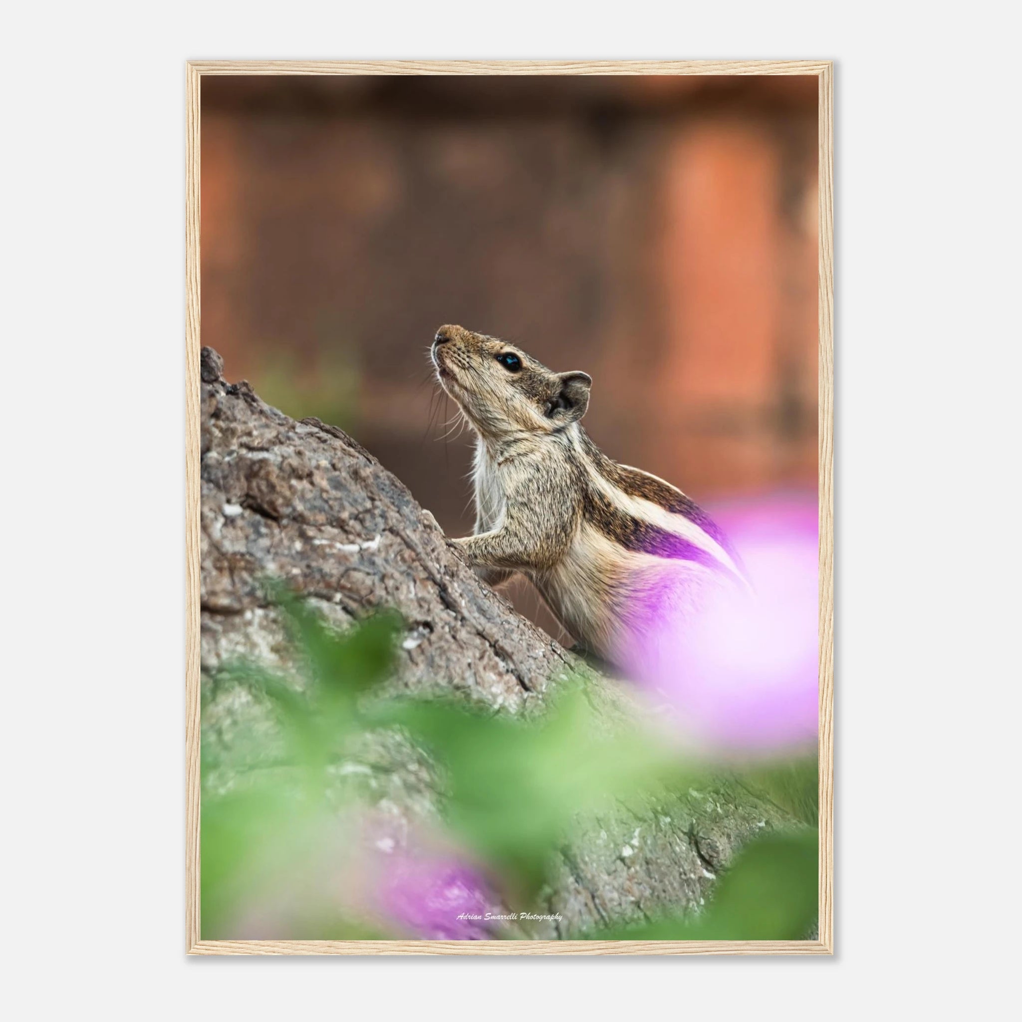 84740714-0f6c-43b8-a871-28545e1d2105