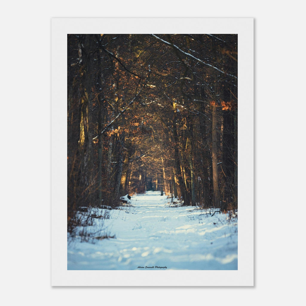 86c18bf9-50cc-4d4f-8e1e-6ac80b350c05