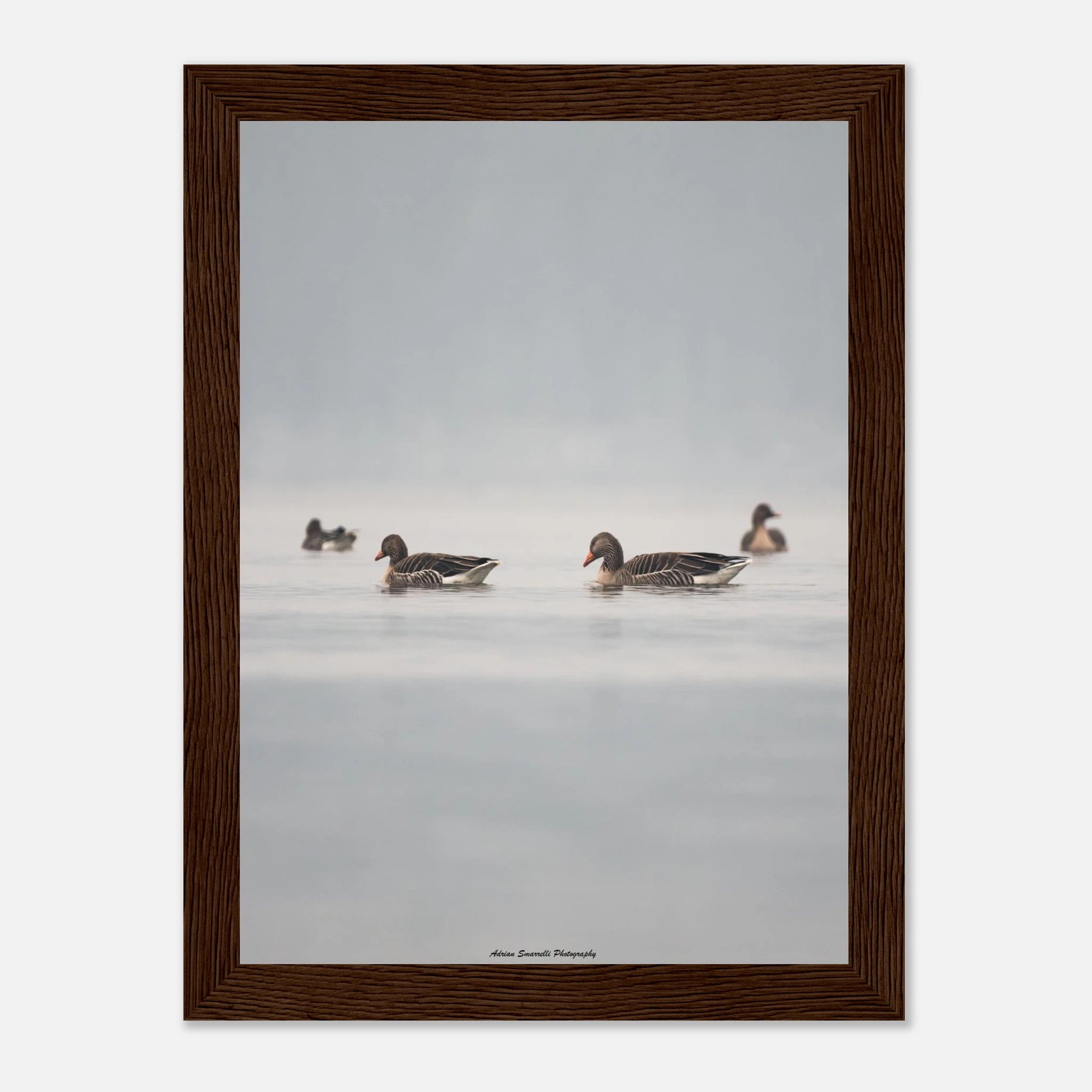 87406290-a8c7-4ef3-911e-43059b2497d1