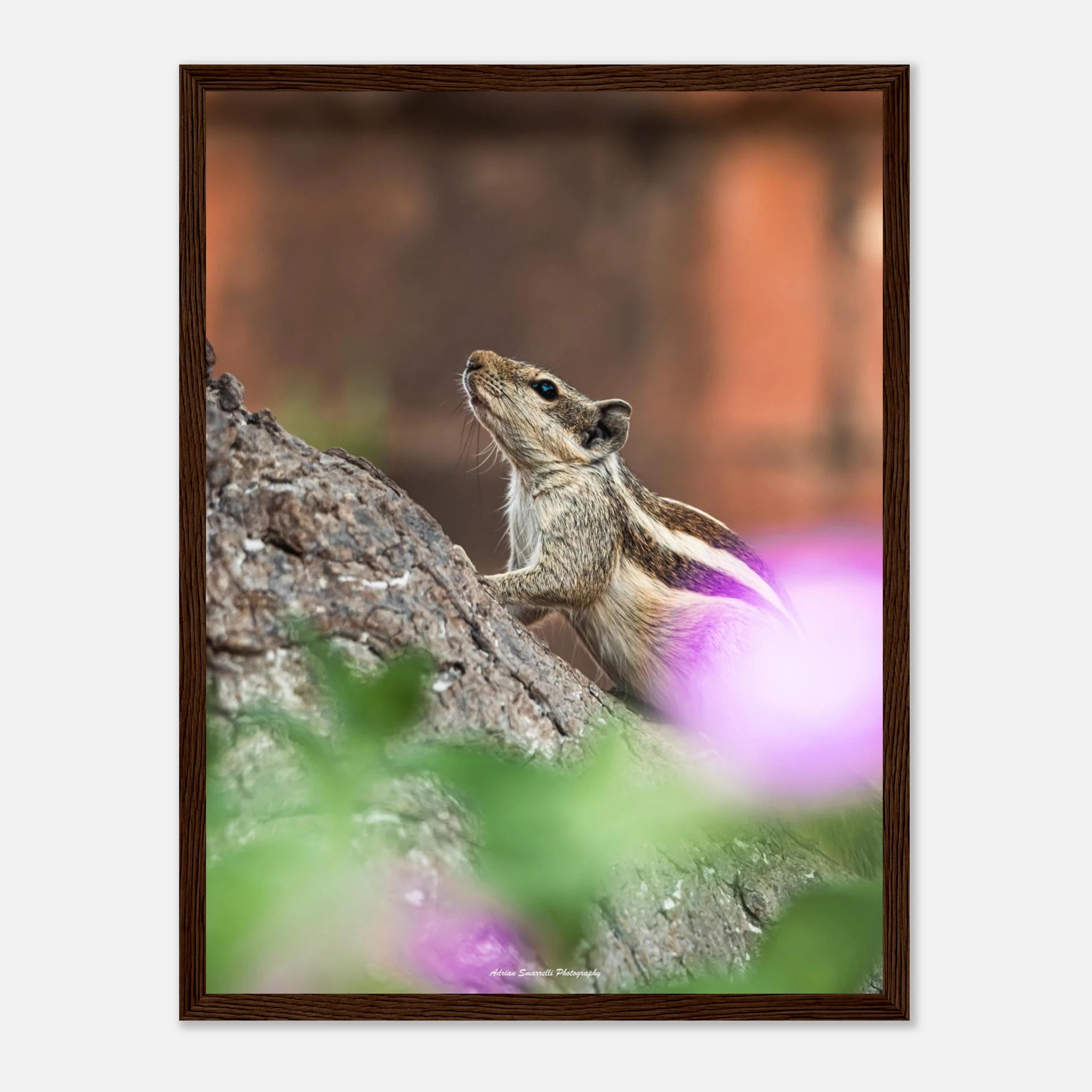 8822d055-c729-4626-9fa0-2eee35aaee75