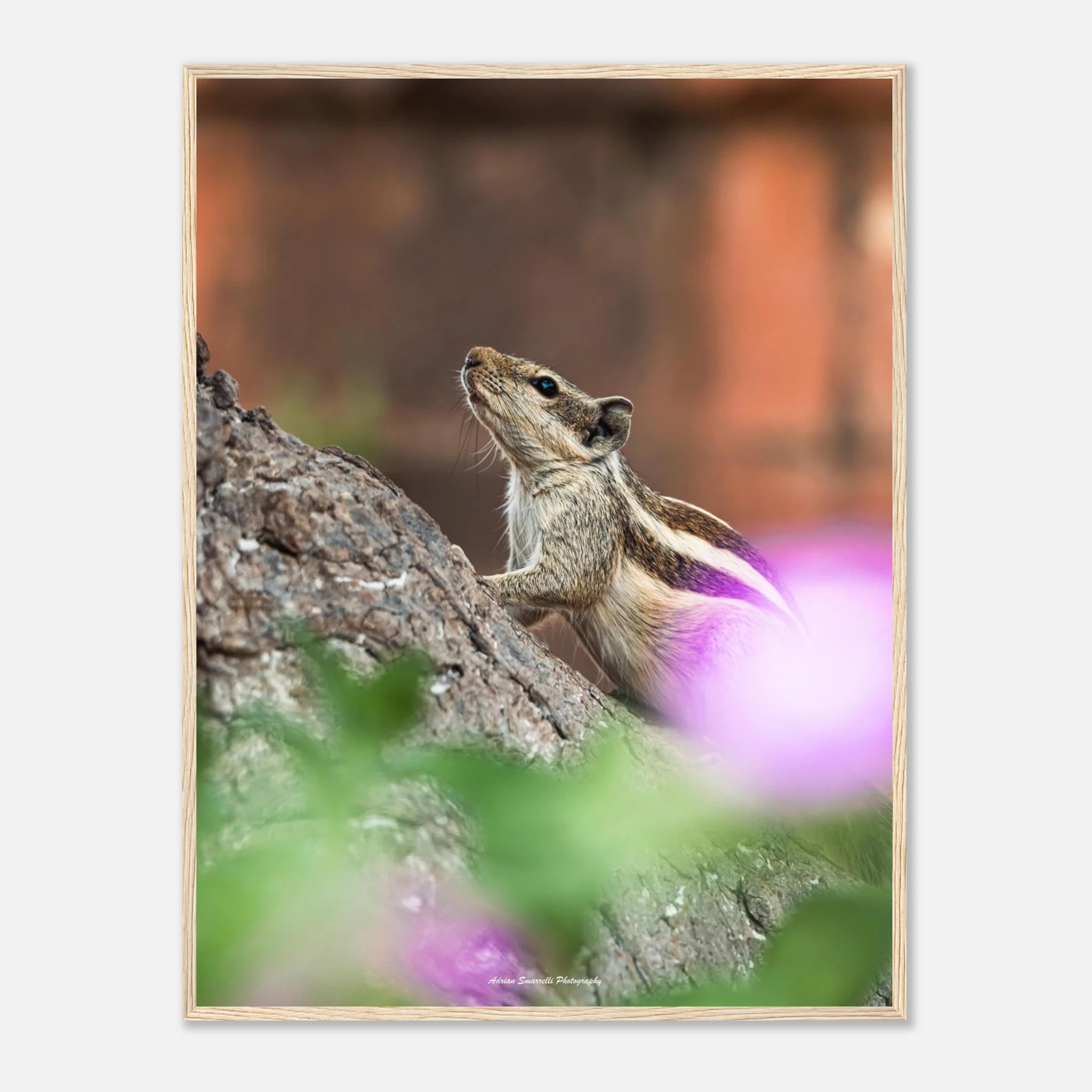 88438266-d9c3-45eb-833a-08d9bfef25be