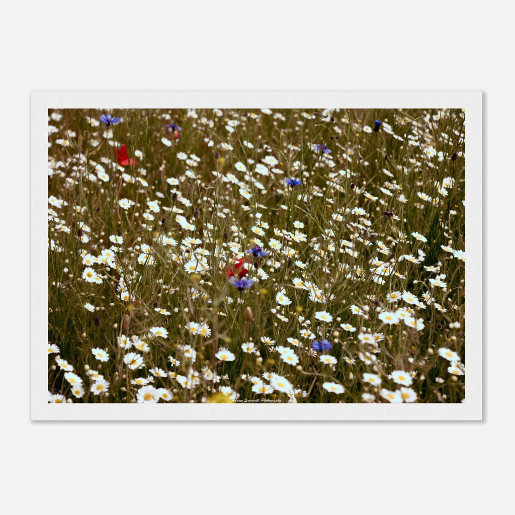 895b78c7-8d92-4609-8820-3351739f8592