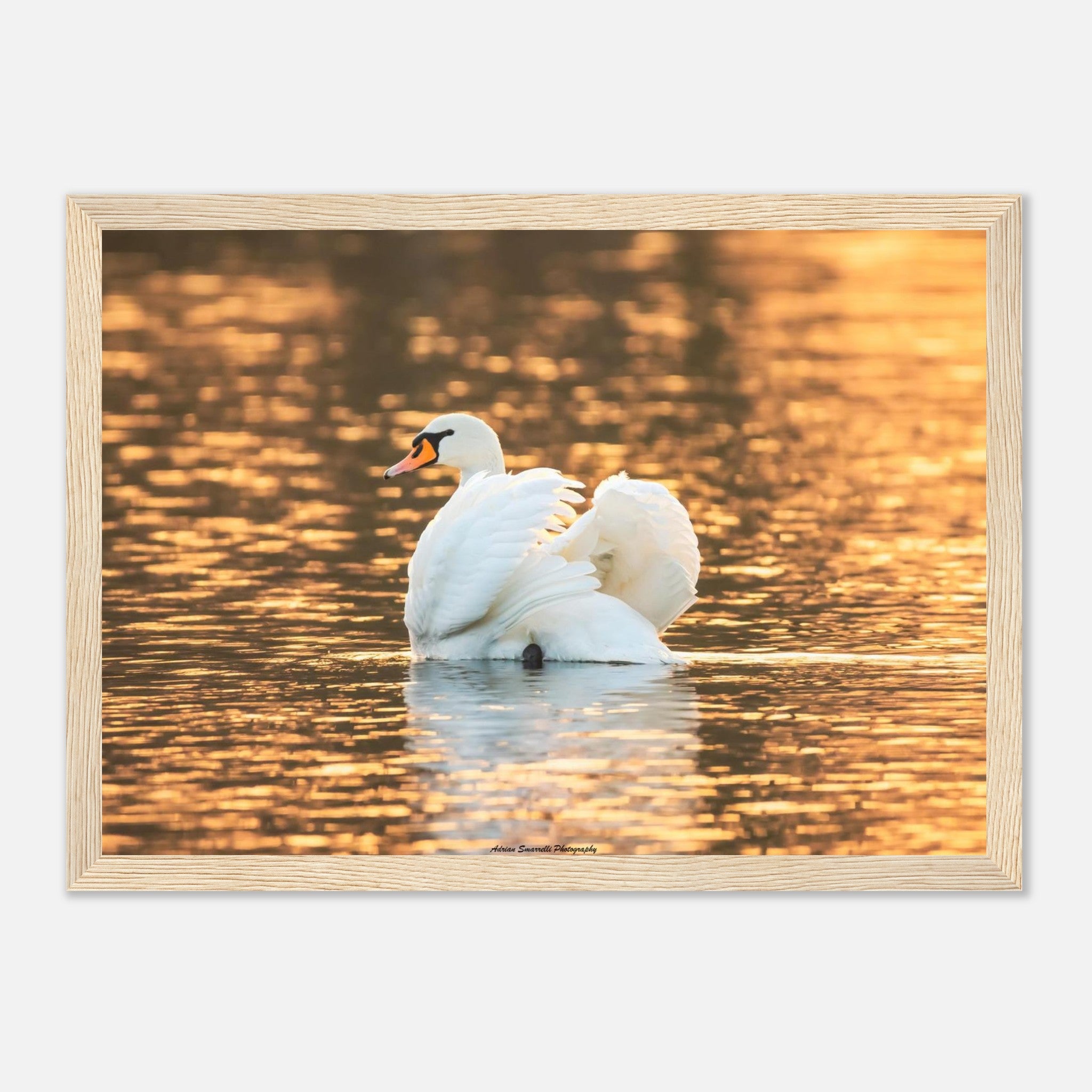 895bd123-0fb2-428b-aaa0-e42e5c246254