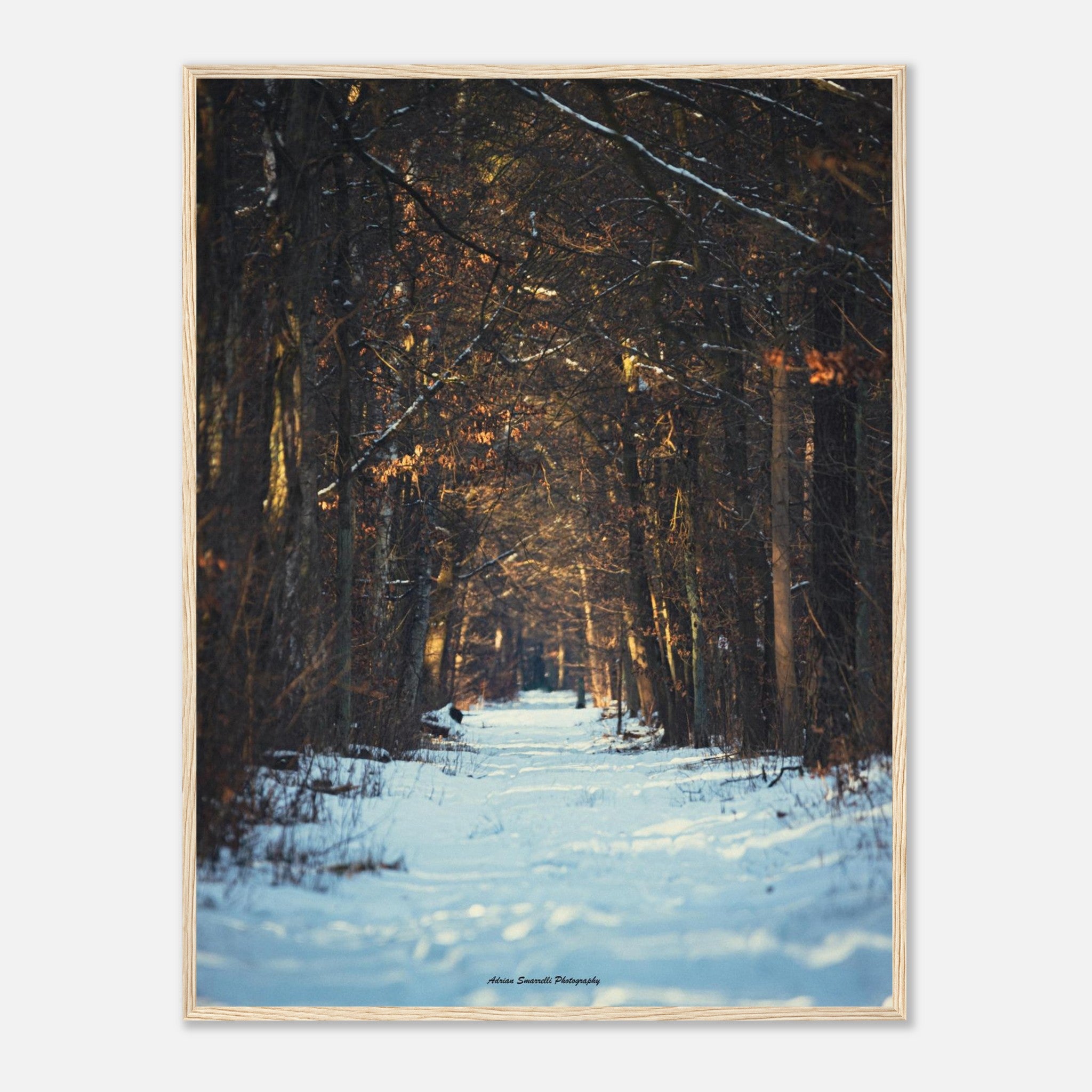 8a14cff7-48cc-414d-bd1d-dfef4a5ae14f