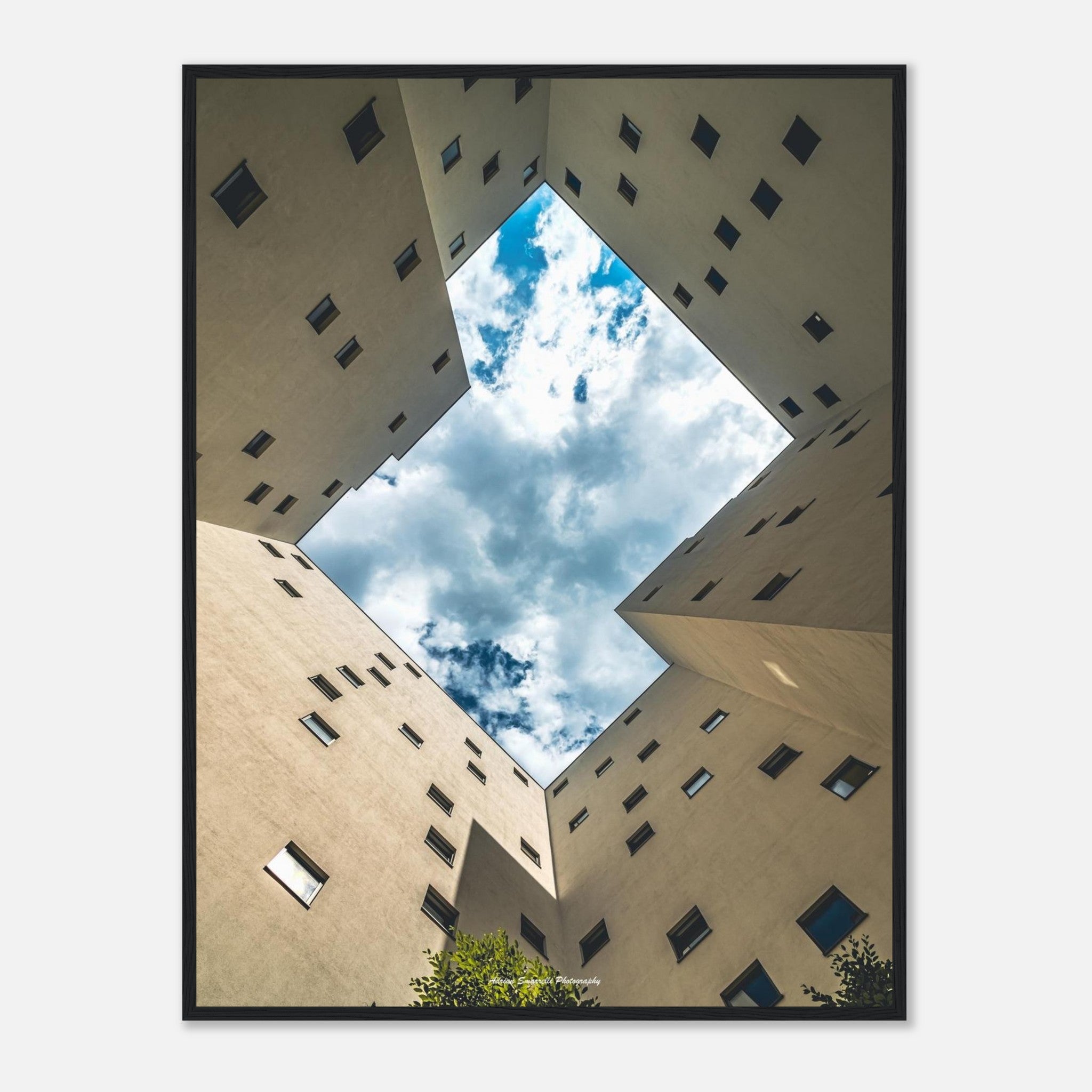 8a31048e-e646-4d6c-b162-e07eec0594e6