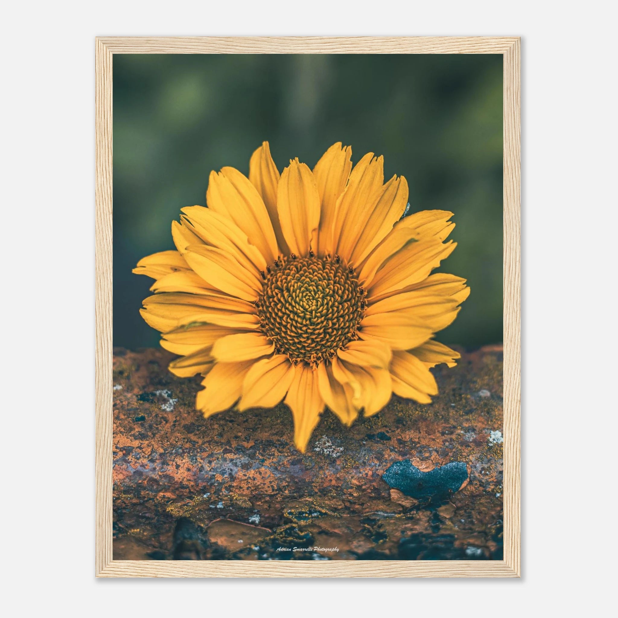 8a986ea3-9cd4-43d9-b516-053acc81f1e1