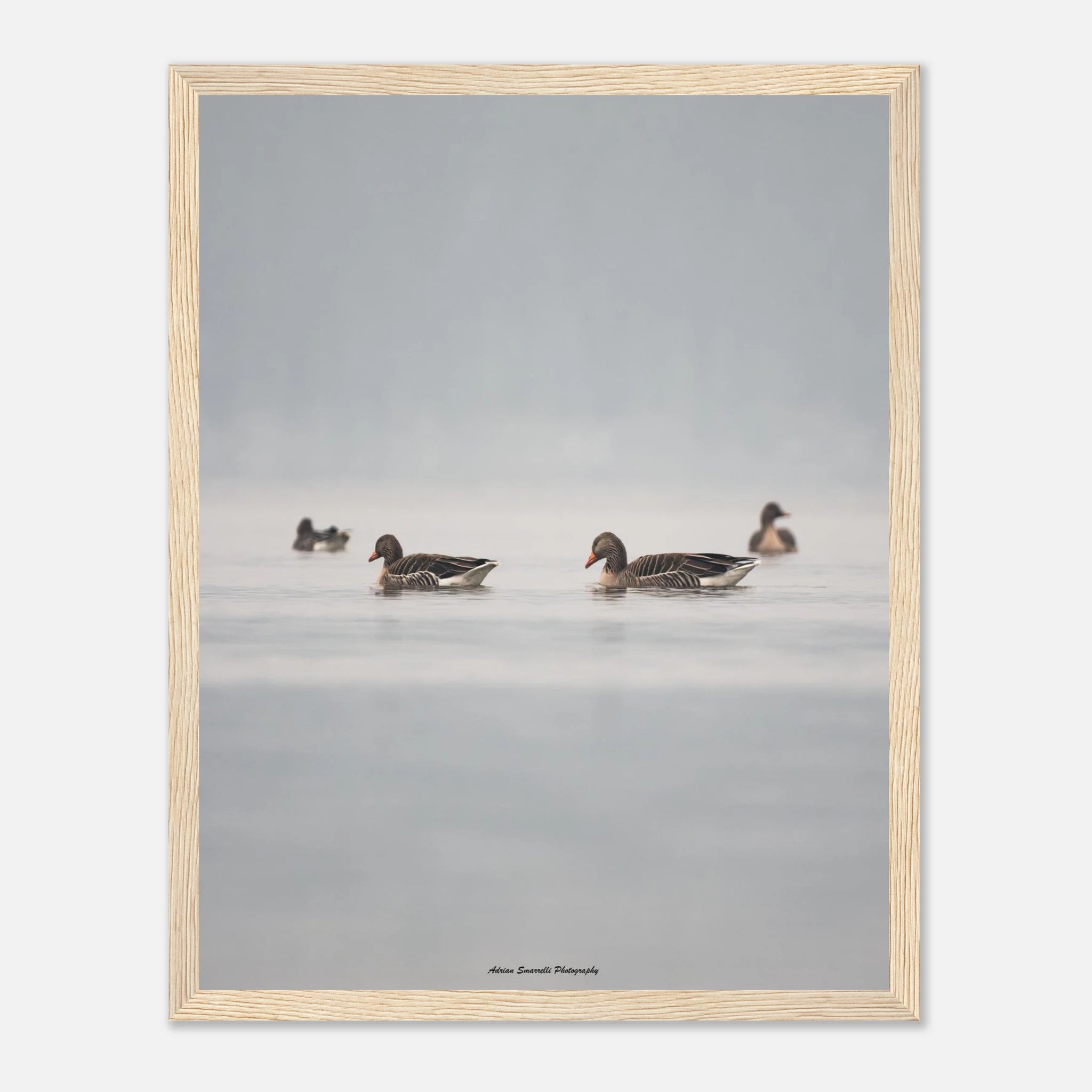 8d6b4b78-ca3f-40d8-8ac7-df3079227bb8