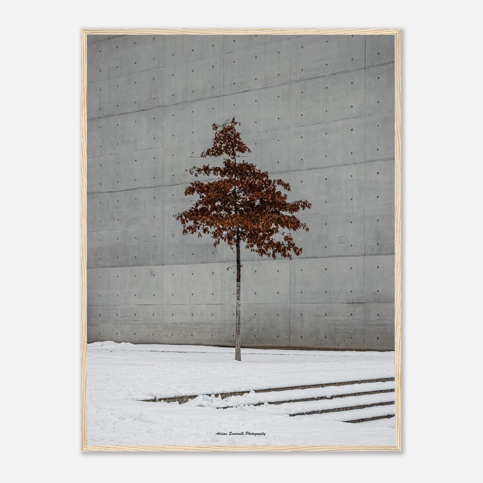 8d6b750c-b2c0-4e19-a18c-64e000b80f0f